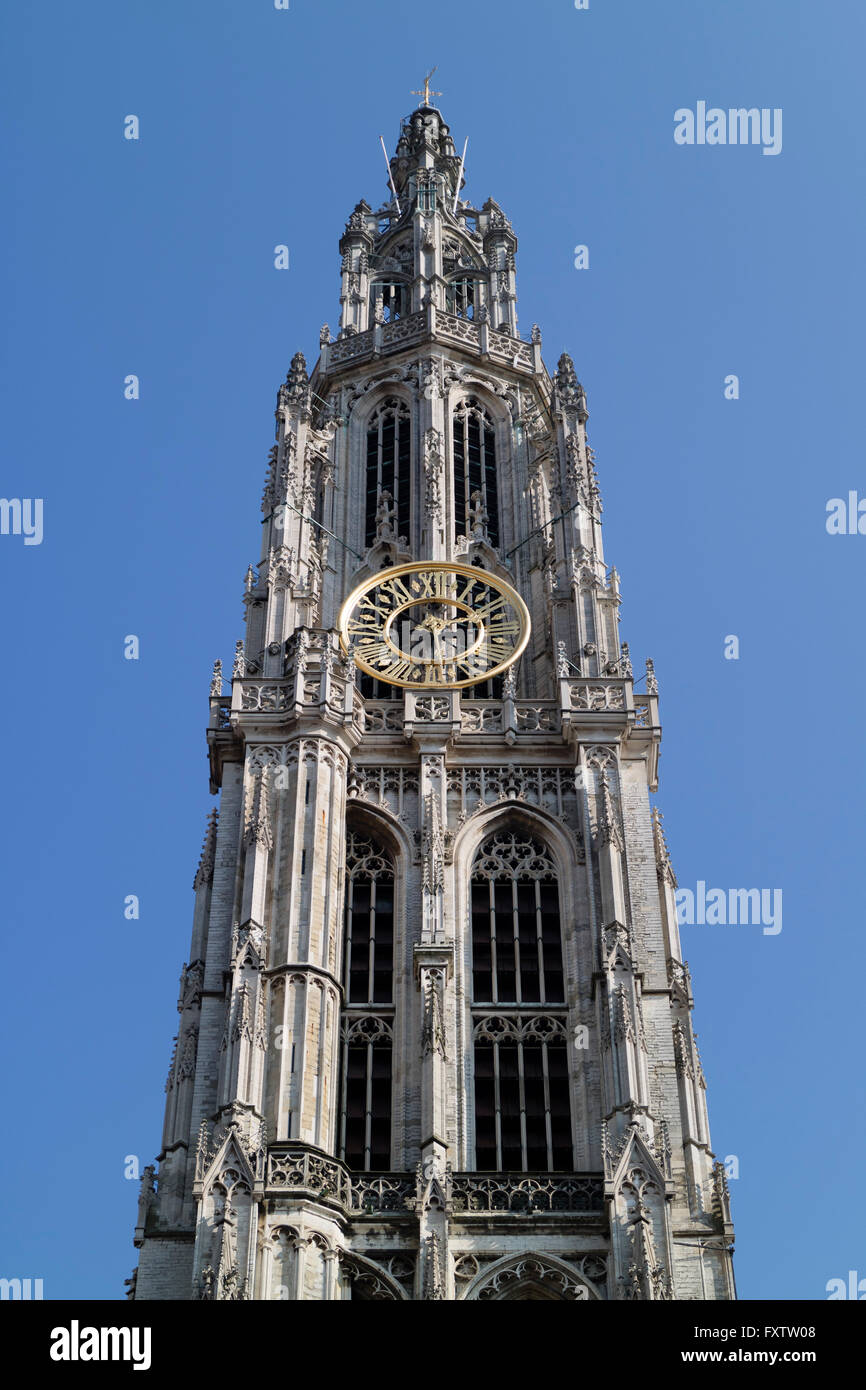 Torre di Onze-Lieve-Vrouwekathedraal su Handschoenmarkt ad Anversa, in Belgio Foto Stock