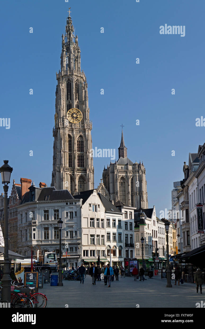Onze-Lieve-Vrouwekathedraal e Suikerrui ad Anversa, in Belgio Foto Stock