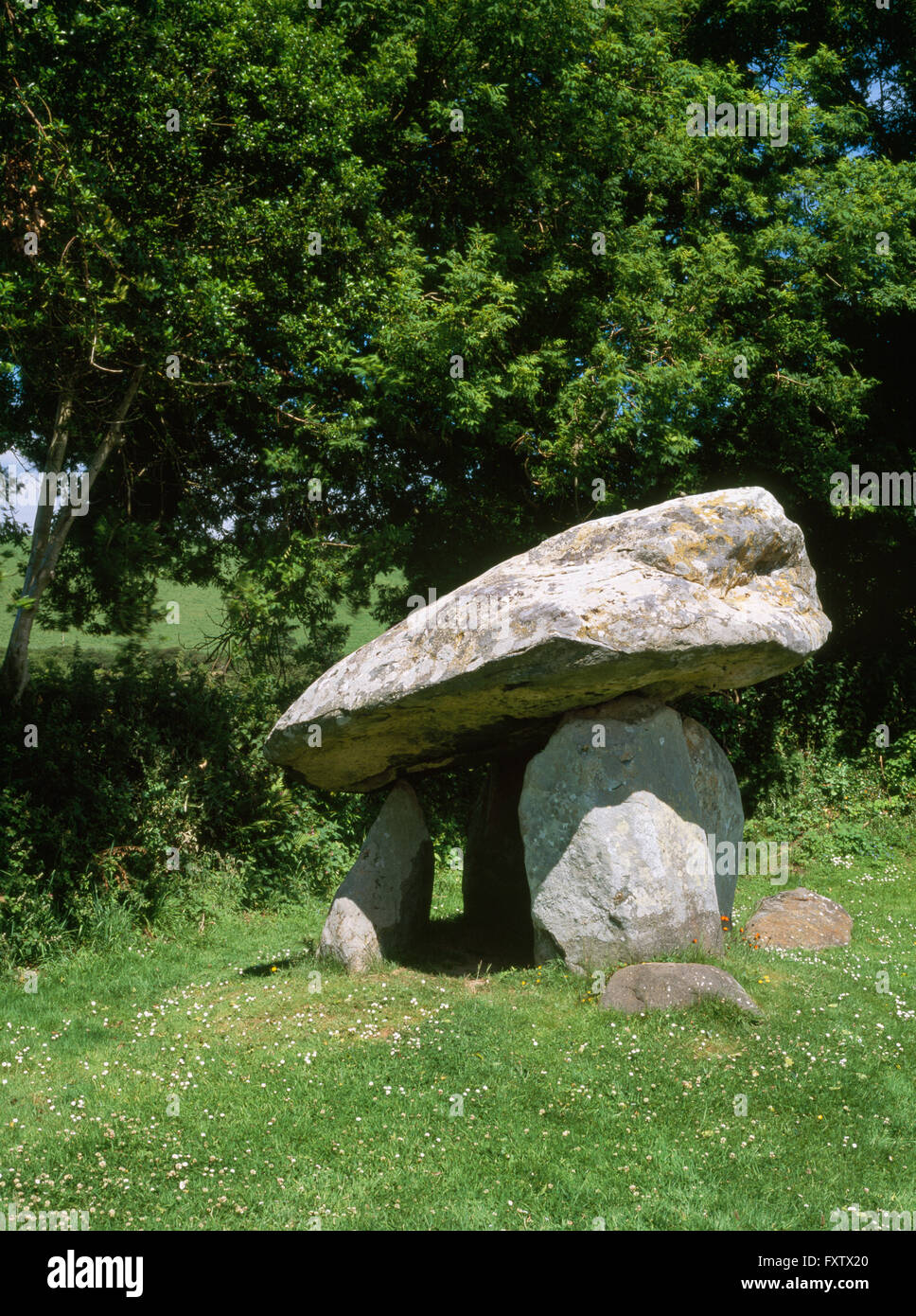 Cerca NNE presso la camera di sepoltura montanti e a forma di cuneo capstone di Carreg Coetan Arthur chambered neolitico tomba. Pembrokeshire, West Wales, Regno Unito Foto Stock