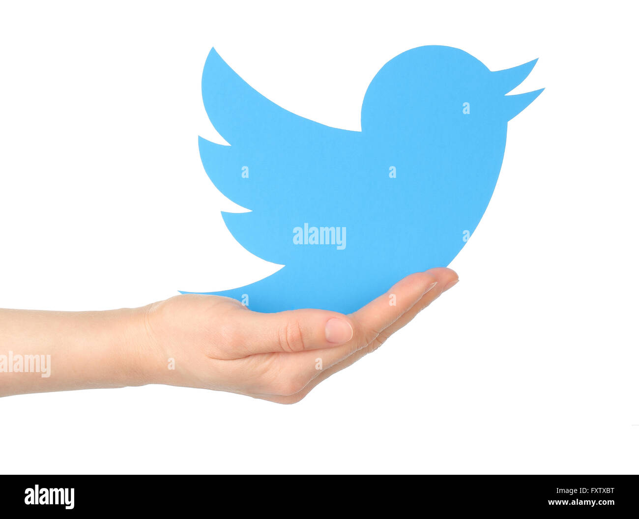 Kiev, Ucraina - 15 Gennaio 2016: mano trattiene logotipo twitter bird stampato su carta. Twitter è un servizio online di social networking serv Foto Stock