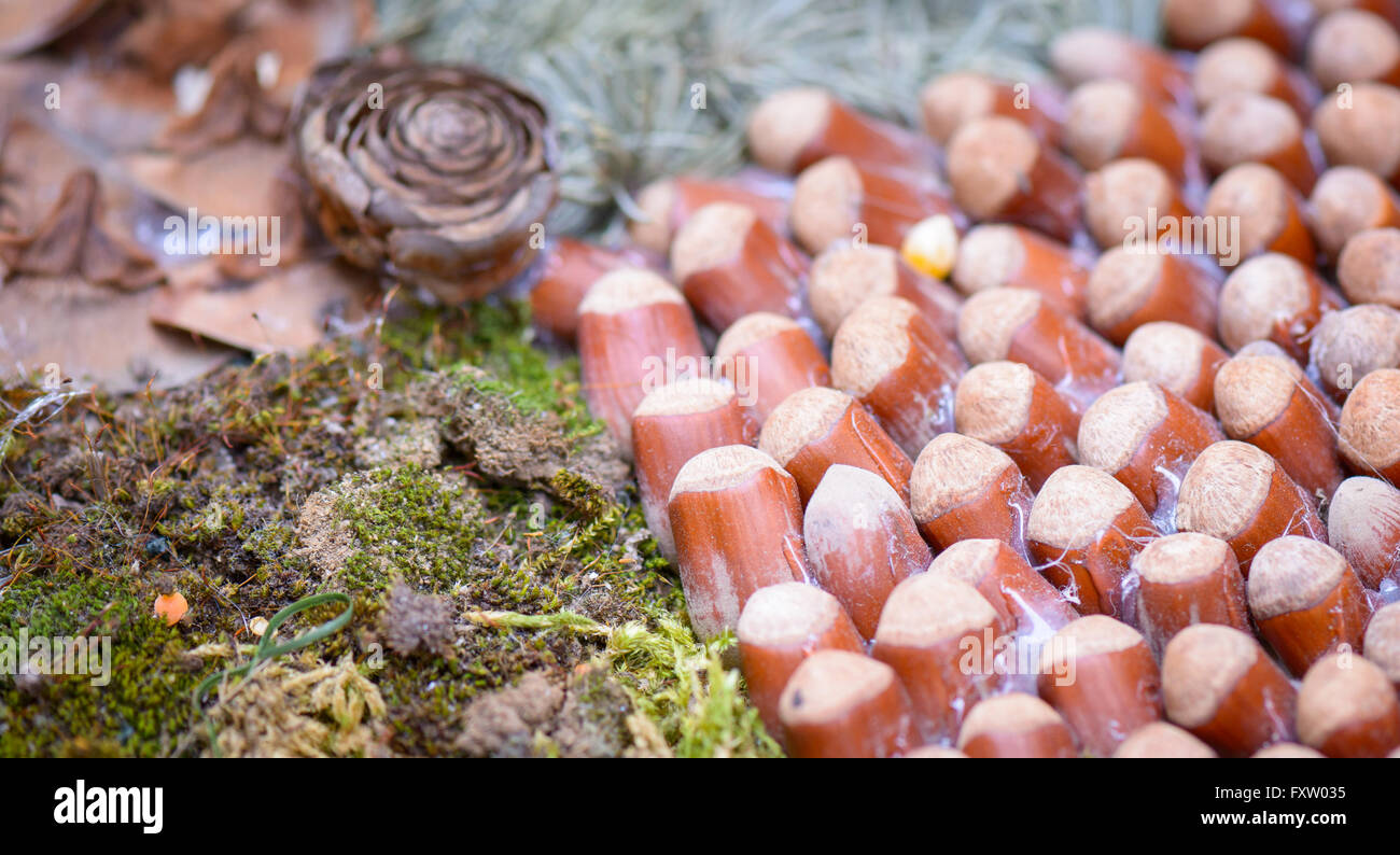 Bella composizione con materiale naturale, come frutta secca, noci, pigne, uva, nocciole e mais Foto Stock