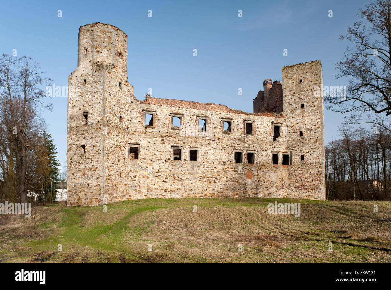 Visitare il castello di Drzewica rovine, Zamek w Drzewicy dal 1527-1535 in Polonia, Europa, edificio esterno circondato da un fossato. Foto Stock