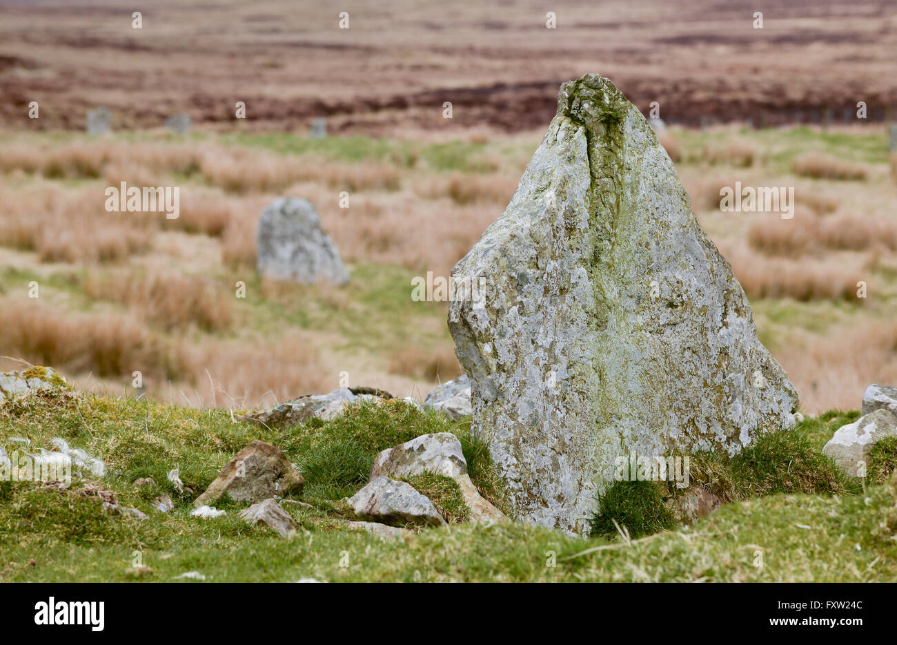 Pietre permanenti di Achavanich, Loch Stemster, Latheron, Caithness, Scozia Foto Stock