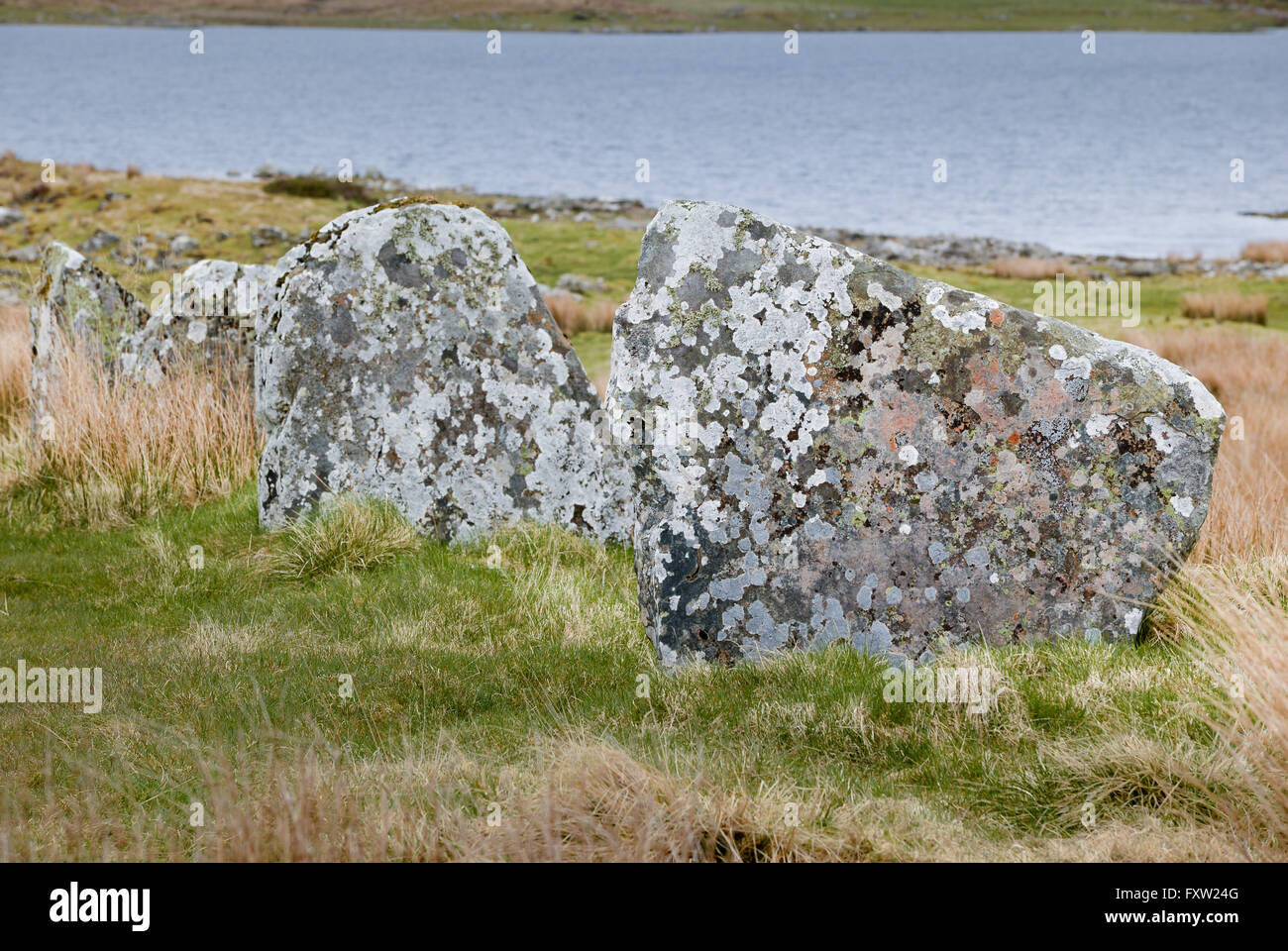 Pietre permanenti di Achavanich, Loch Stemster, Latheron, Caithness, Scozia Foto Stock