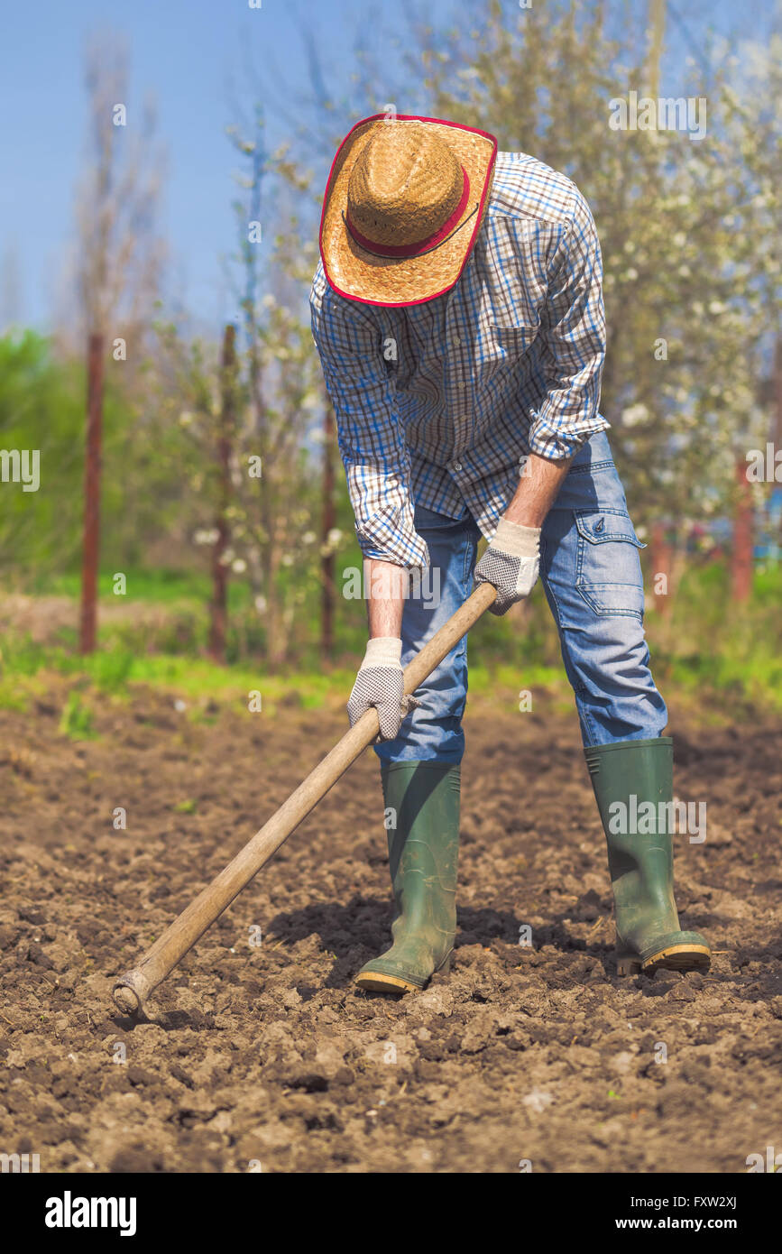L'uomo zappando orto terreno, nuova stagione di crescita in azienda agricola biologica. Foto Stock