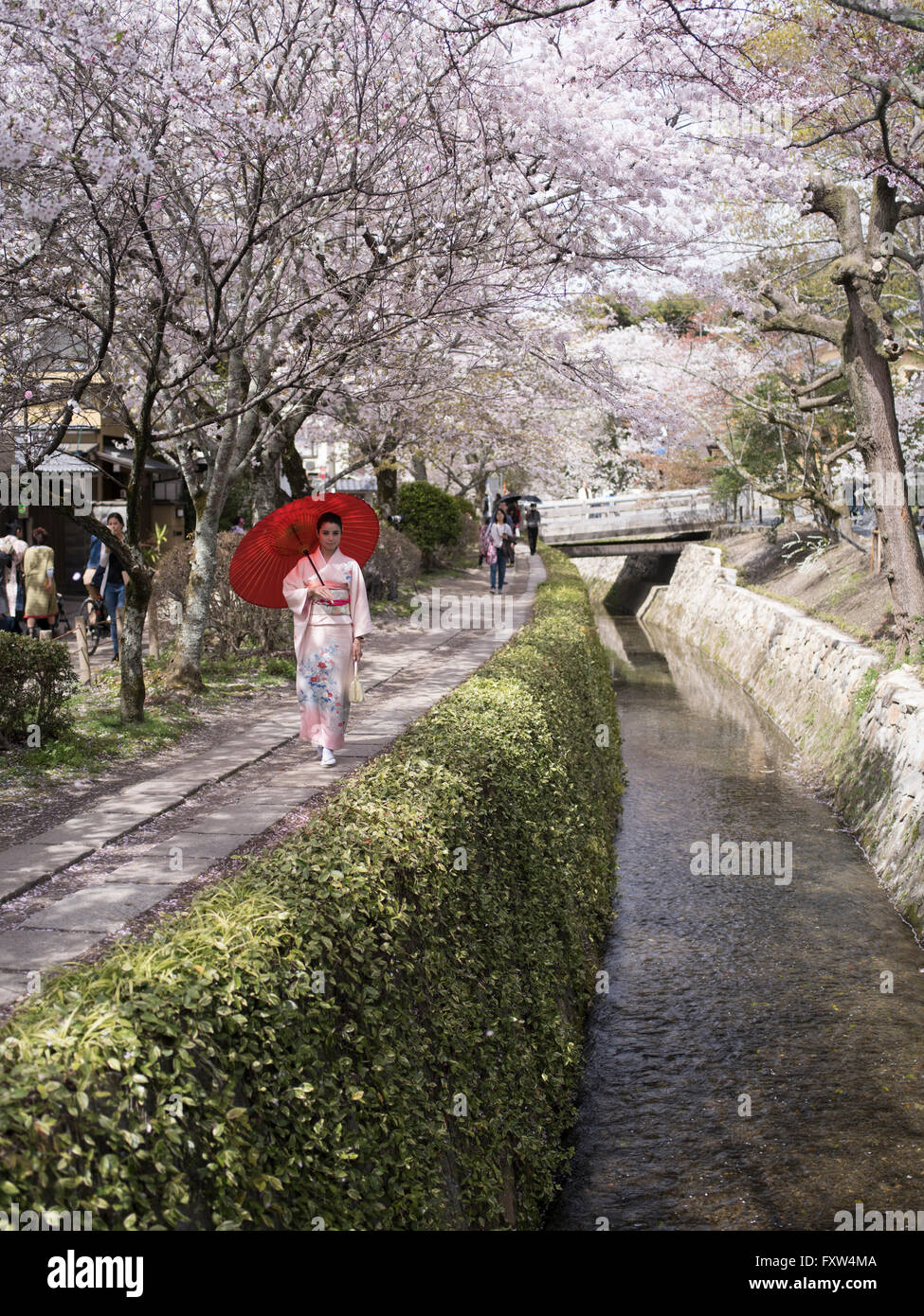 Donna Giapponese in kimono presso il filosofo a piedi vicino Ginkaku-ji, Kyoto, Giappone durante la fioritura dei ciliegi Foto Stock