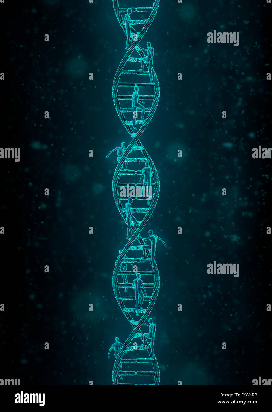 Pinnacle della specie / 3D render di figure maschili precipitando fino la doppia elica del DNA struttura Foto Stock