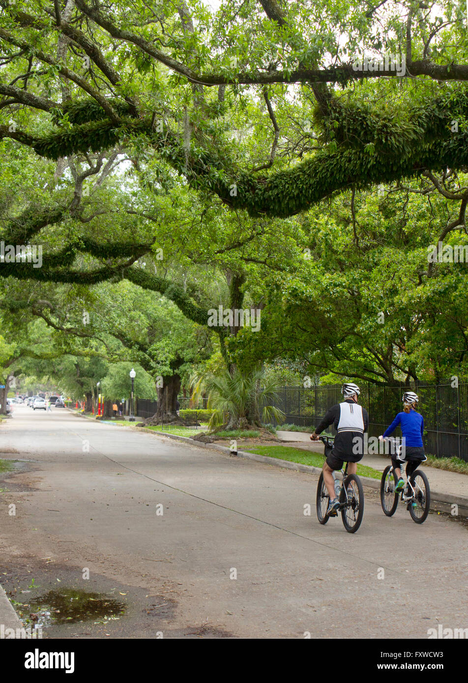 Un giovane su biciclette sotto la tettoia di lecci in New Orleans' parco della città. Foto Stock