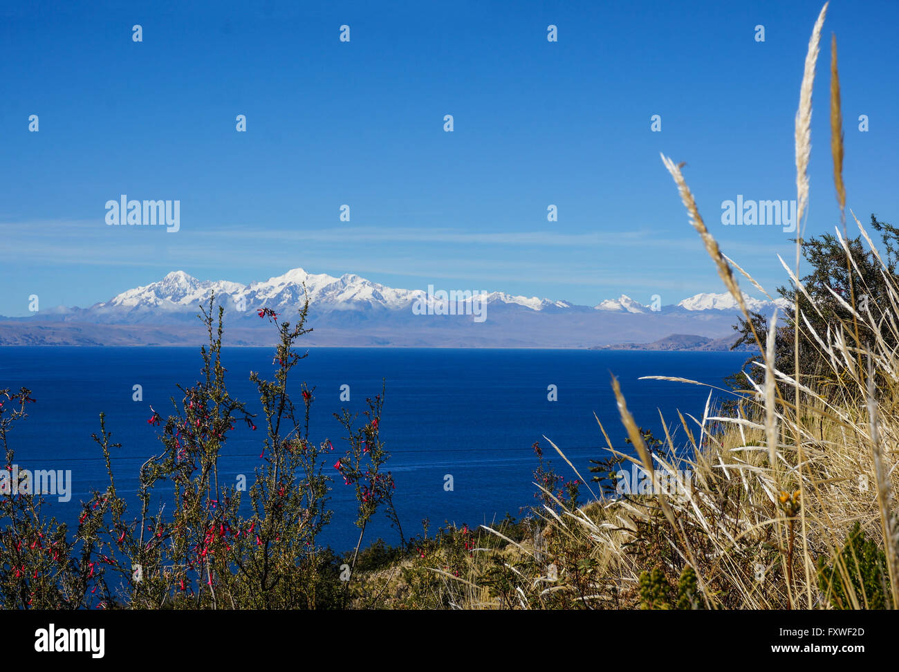 Bolivia - 28/07/2013 - Bolivia / Lago Titicaca - Lago Titicaca - Sandrine Huet / Le Pictorium Foto Stock