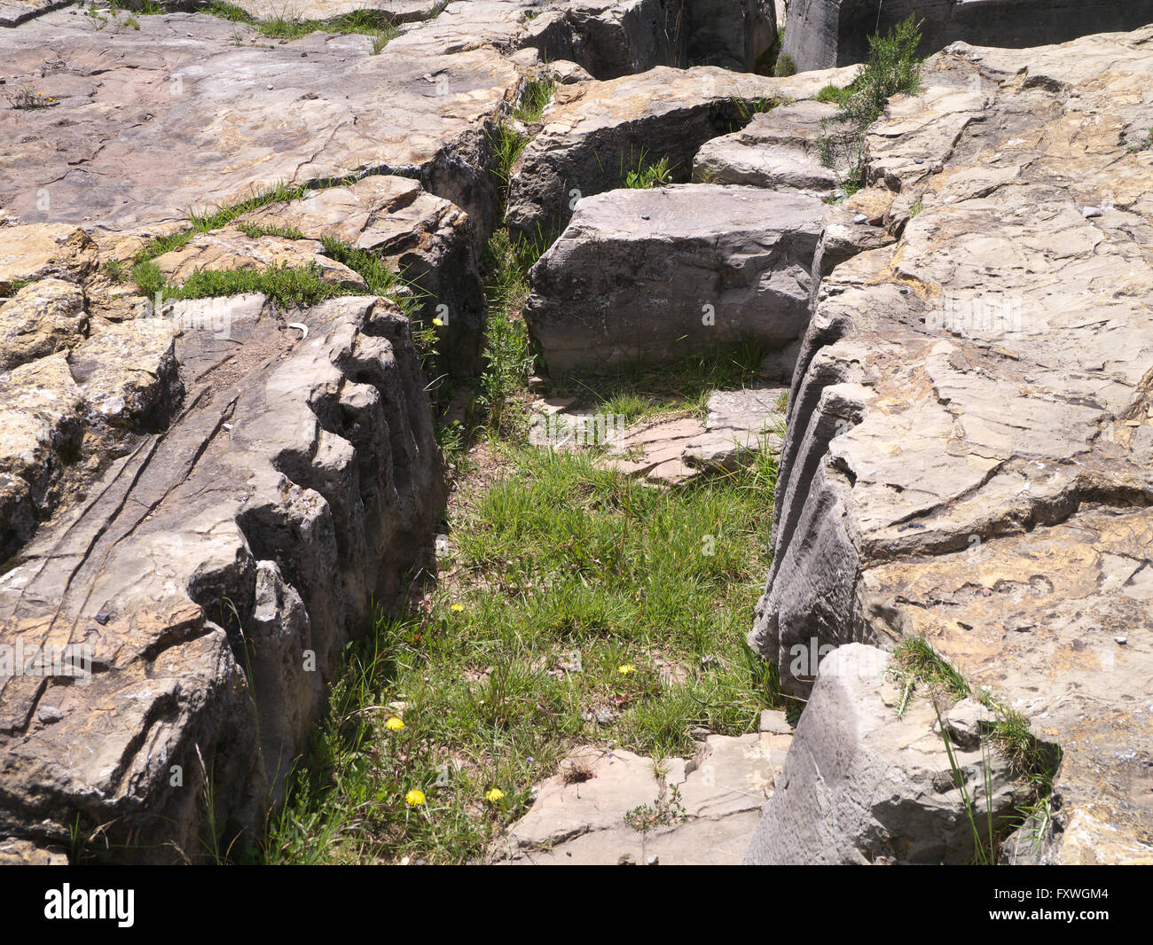 Nei pressi della fortezza di Sacsayhuaman Qenko è che gli Incas usati per fini cerimoniali. Questa mostra scalpellino lavoro Foto Stock