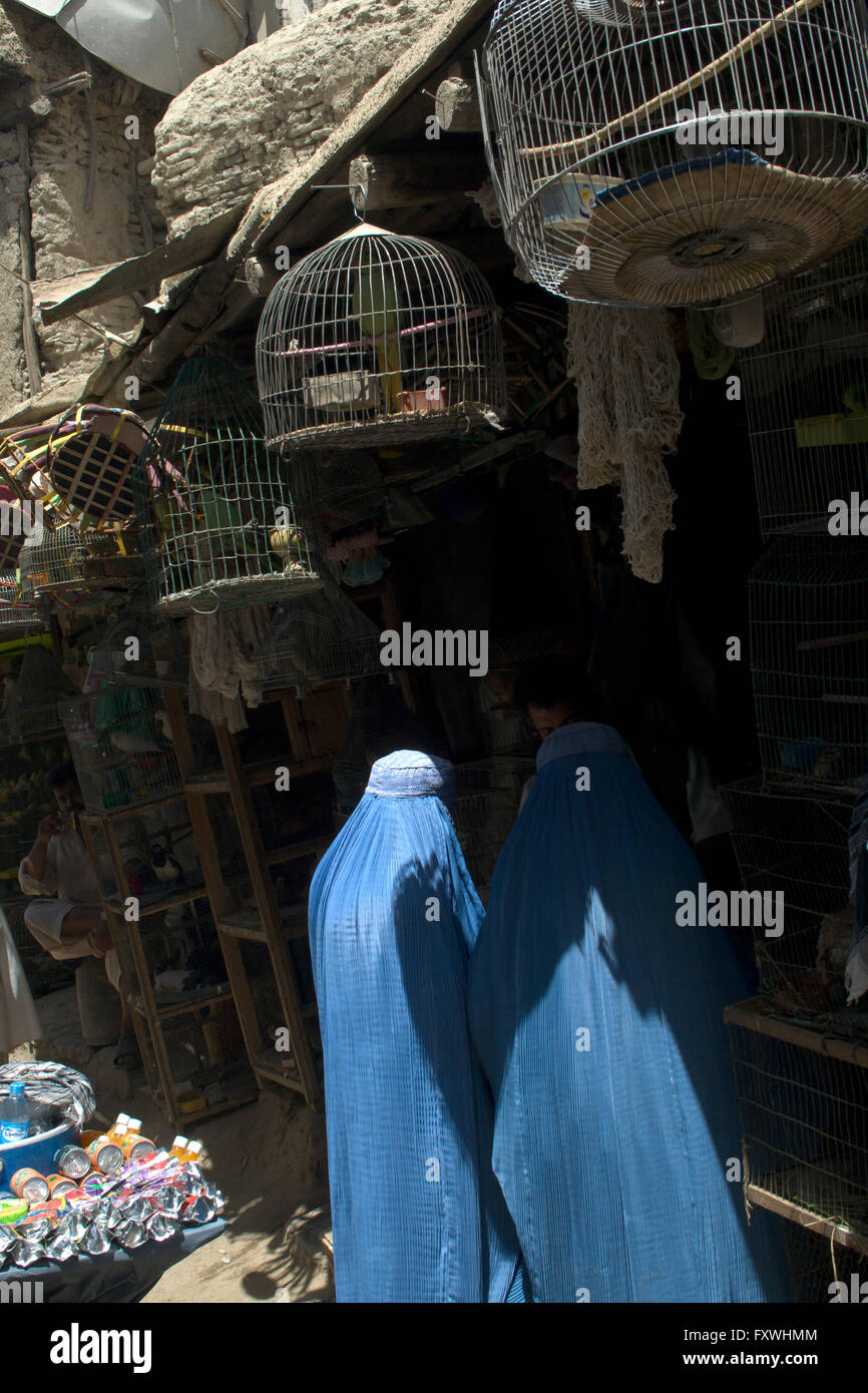 Burqa indossando le donne shop per gli uccelli in gabbie in Mandawi mercato, più grande ed indaffarato a Kabul. Sito di frequenti attacchi bomba Foto Stock