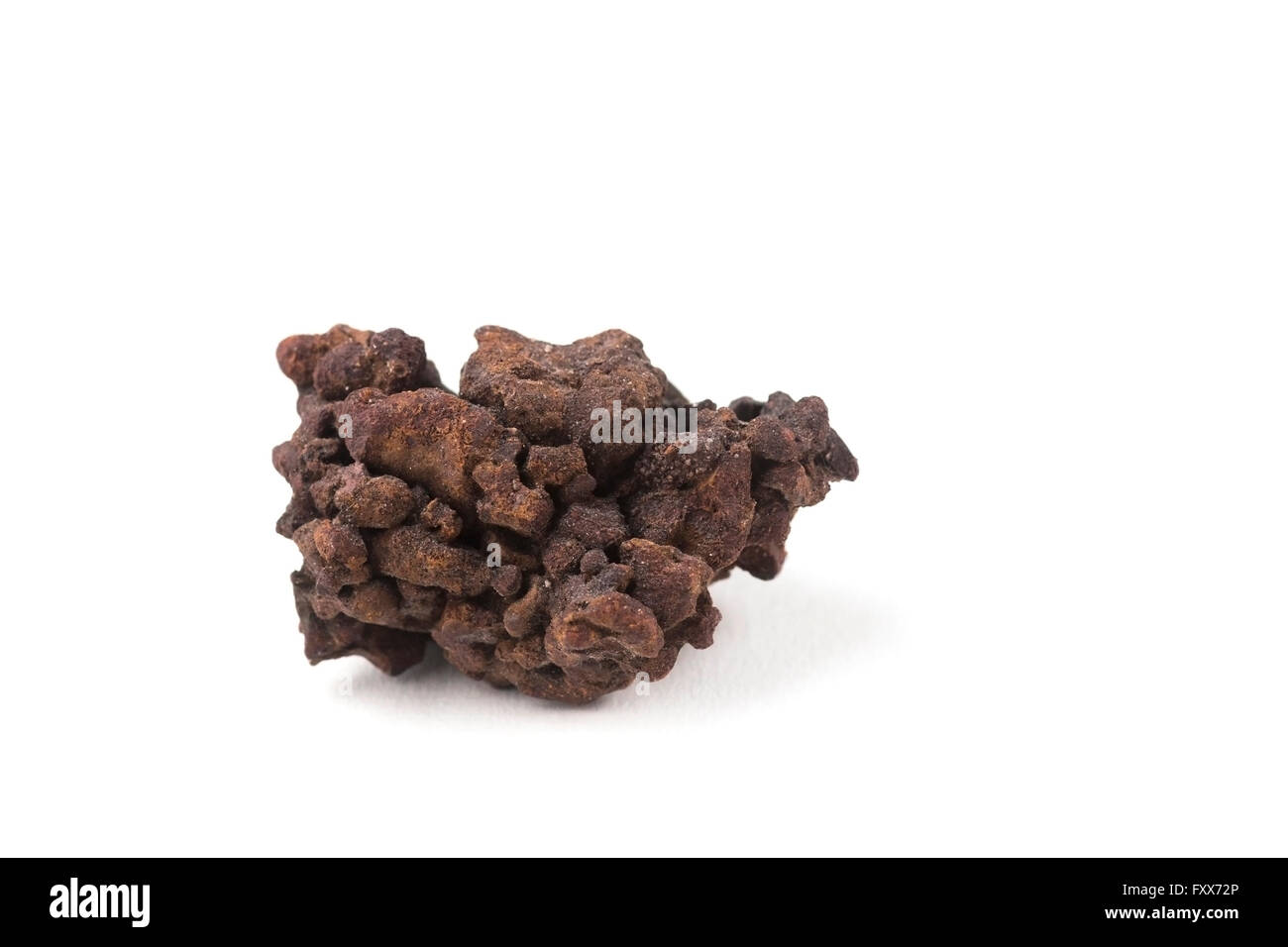 Plinthite, formata da coalescenza e indurimento di concrezioni di ferro nella savana Apure del Venezuela, Sud America Foto Stock