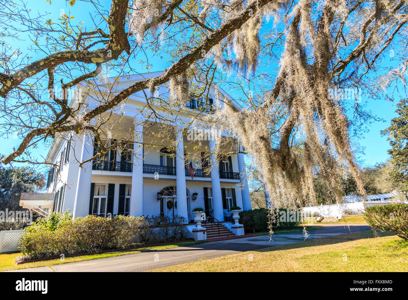 Oaklawn Manor, un 1837 pre guerra civile greca piantagione di revival con pareti che sono 20 cm spessore in Franklin, Louisiana. È n Foto Stock