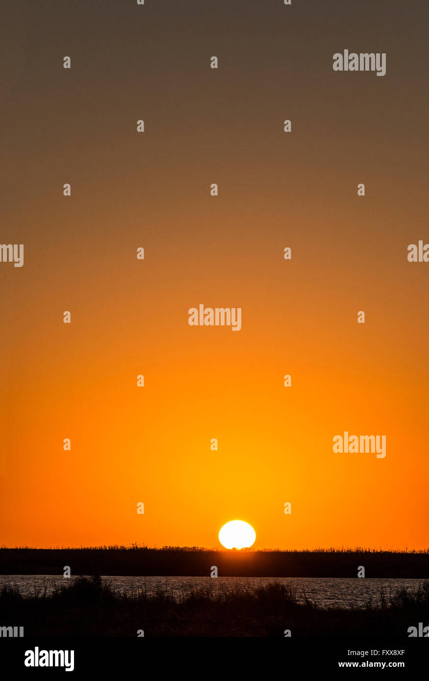 Sunset over inferiore parrocchia di Terrebonne zone umide costiere del sud della Louisiana. Foto Stock