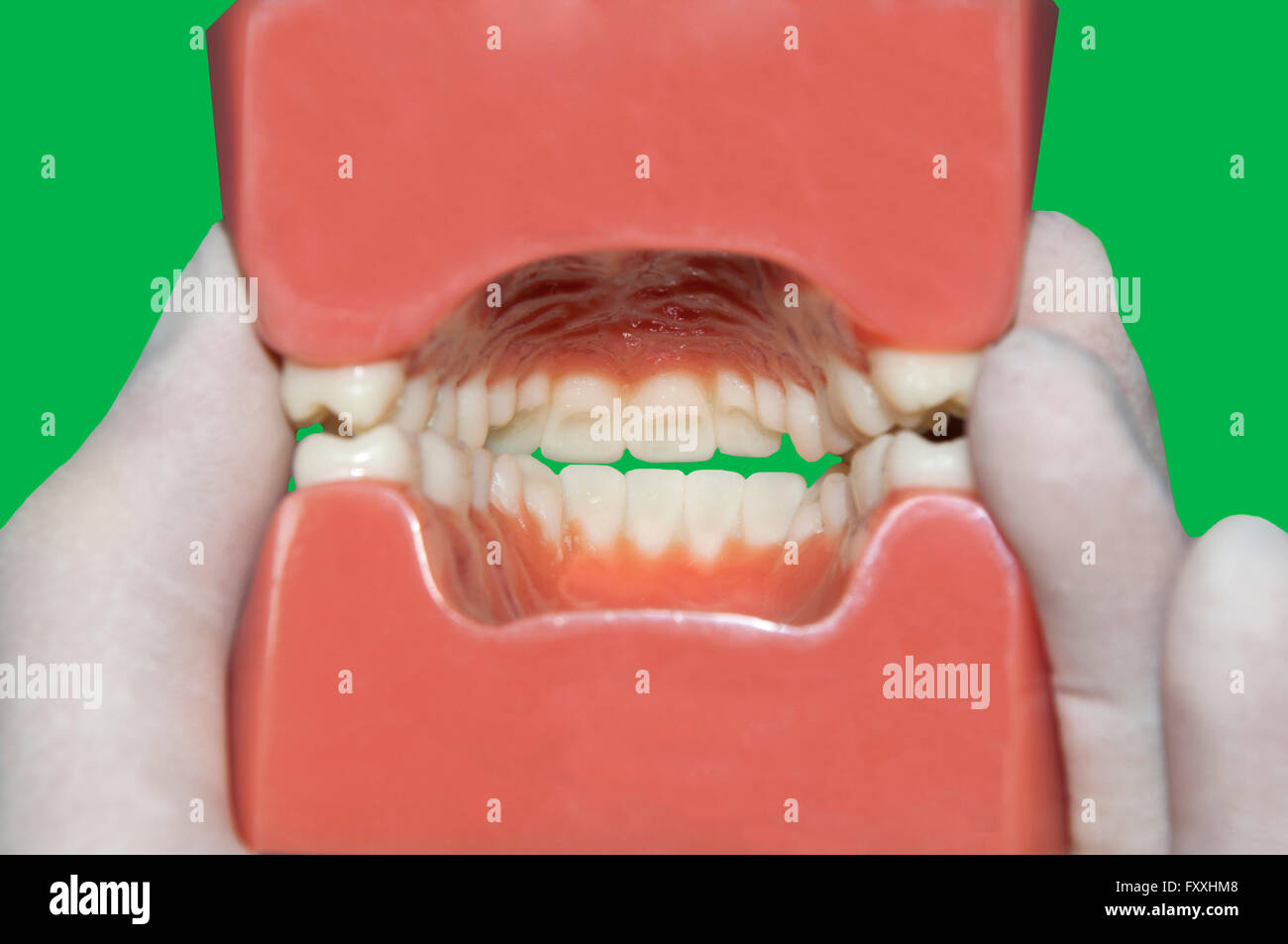La cura dentale igiene orale: vista della bocca interna Foto Stock