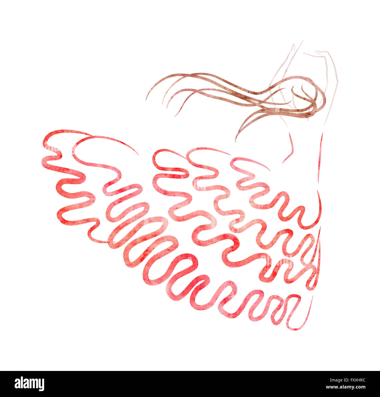 La ballerina di flamenco figura, mano il disegno e la trama della carta Foto Stock