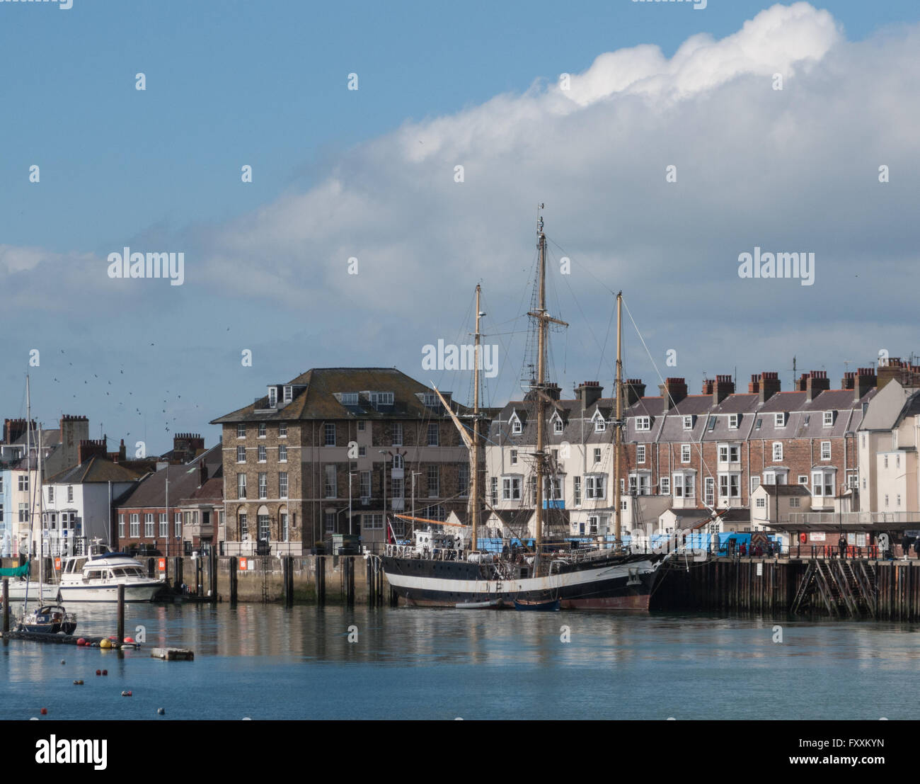 Weymouth Harbour con il pellicano Foto Stock