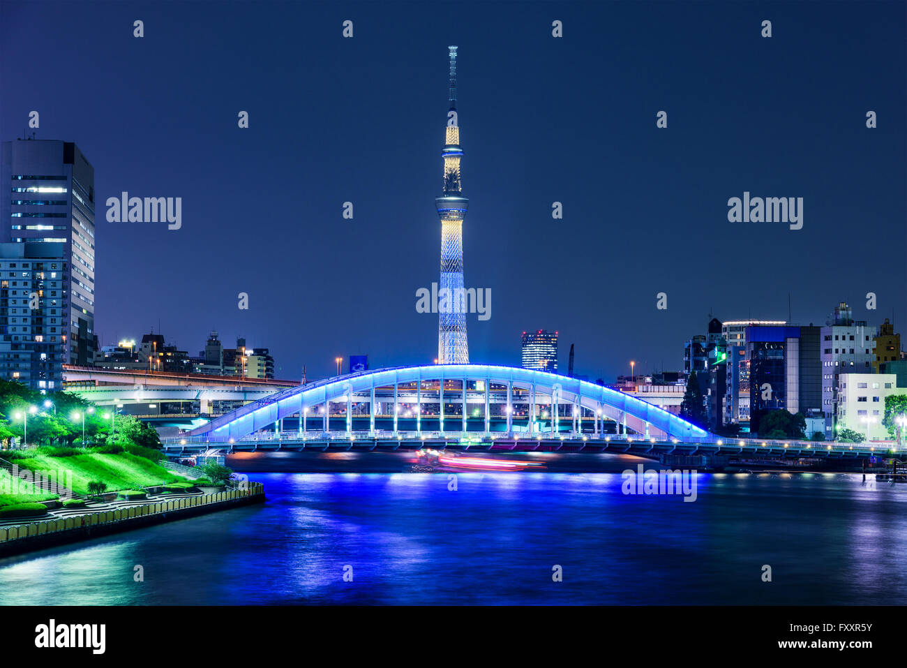 Tokyo, Giappone skyline sul Fiume Sumida con il Skytree di notte. Foto Stock