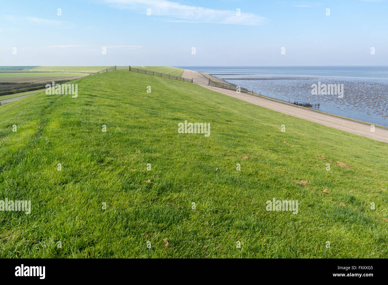 Diga di mare tra Frisone polders e il mare di Wadden - Costa del Friesland, Paesi Bassi Foto Stock