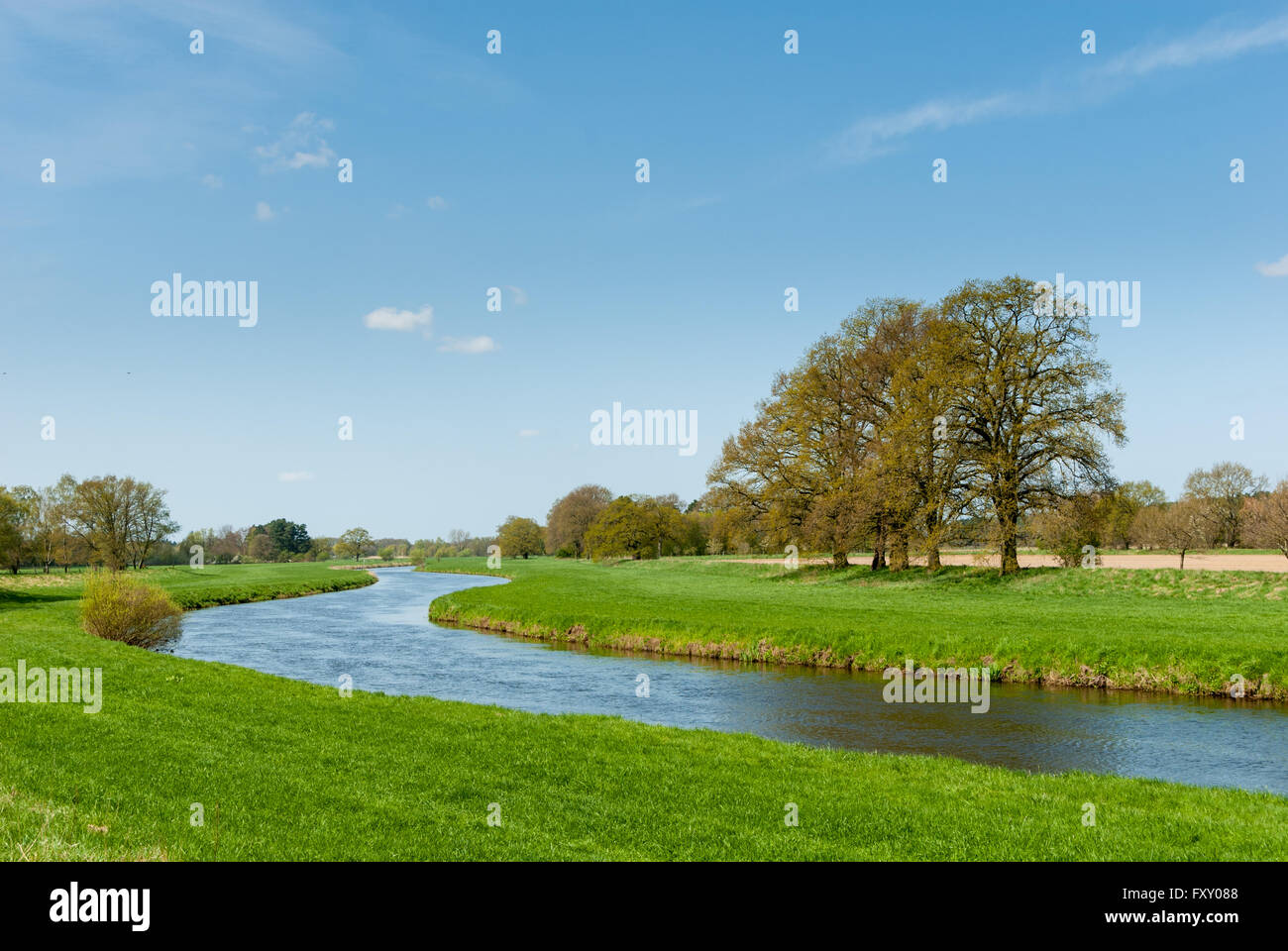 Fiume Valle dell'Aller in primavera Foto Stock