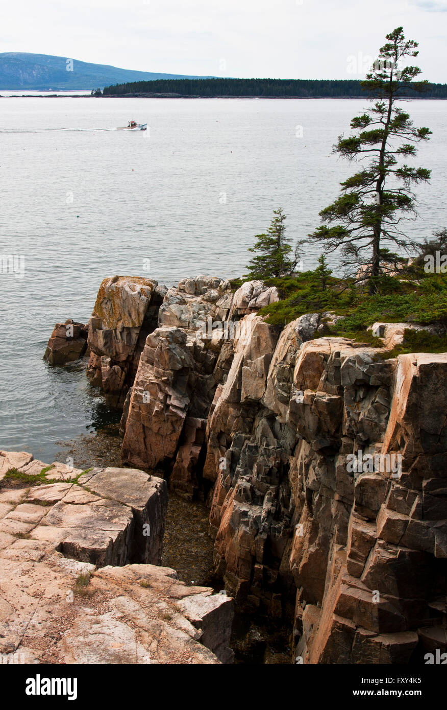 Stato del Maine, Schoodic Peninsula, Parco Nazionale di Acadia, vista delle scogliere di Raven's Nest sito geologico Foto Stock