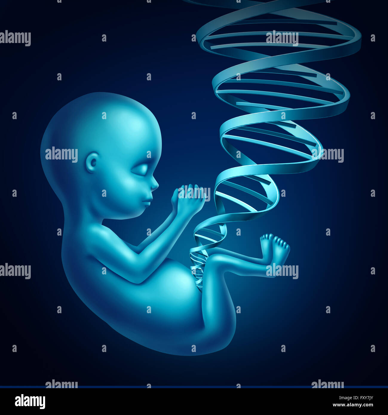 Feto dna concetto medico come un uomo nascituro all'interno di una donna incinta con una doppia elica strand conformata come un cordone ombelicale come medico prenatale terapia genica e la clonazione come simbolo di un 3D'illustrazione. Foto Stock
