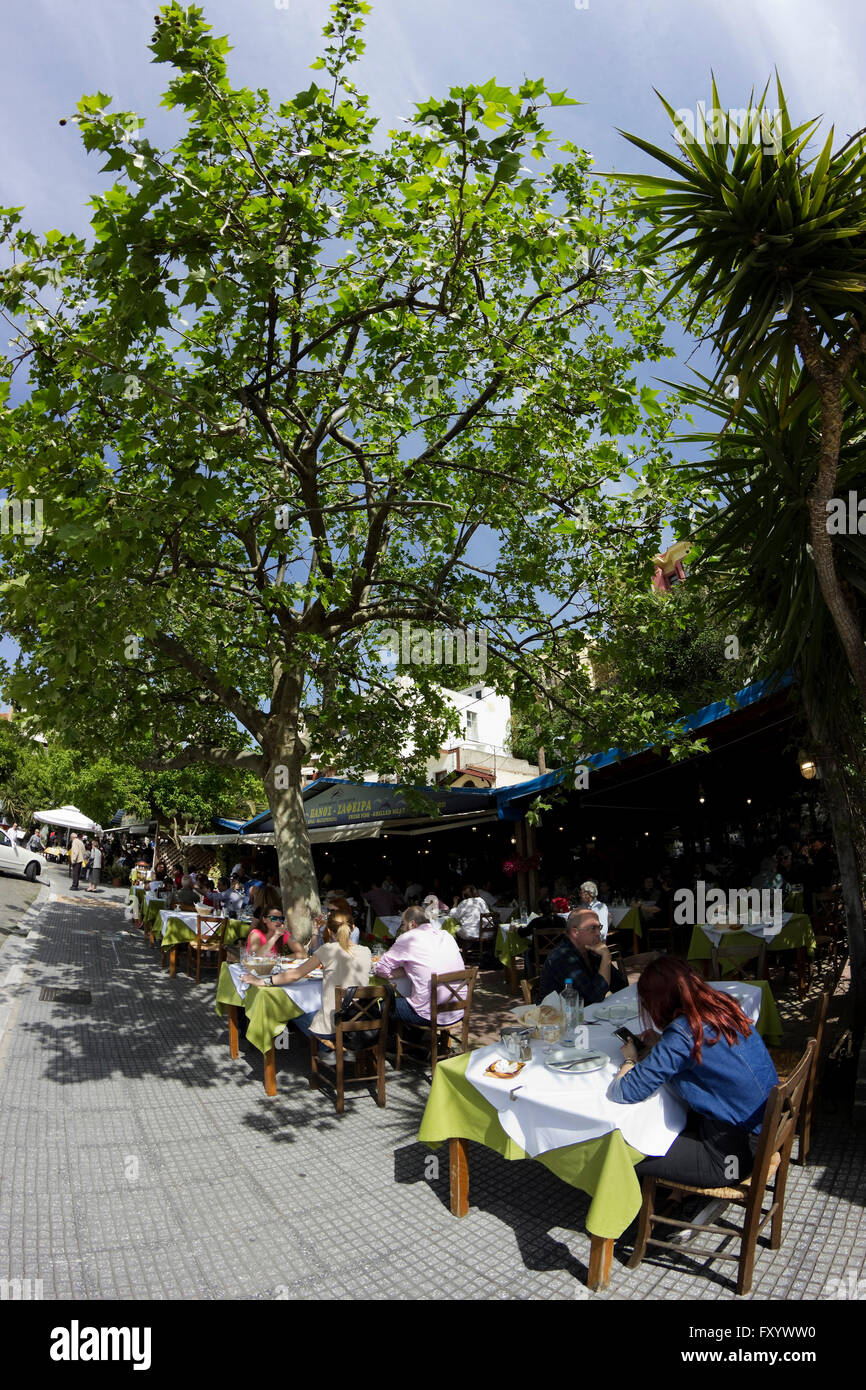 Schierate sul marciapiede taverna di pesce Tavoli pieni di persone aventi il loro pranzo sotto l'ombra degli alberi.Kavala bay downtown, GR Foto Stock