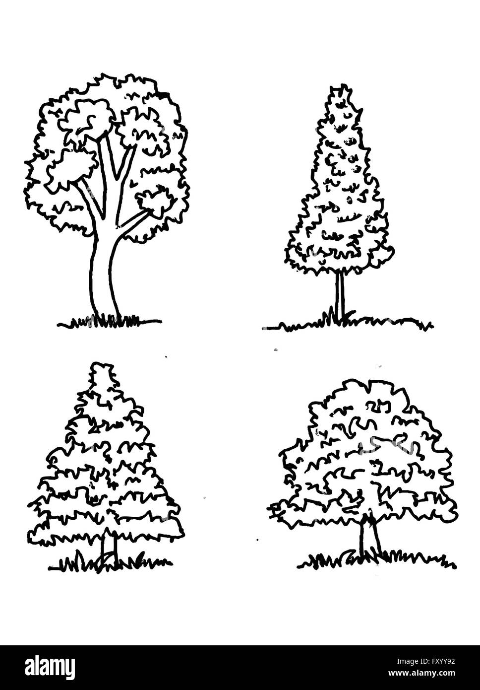 Set di alberi con foglie Illustrazione Vettoriale