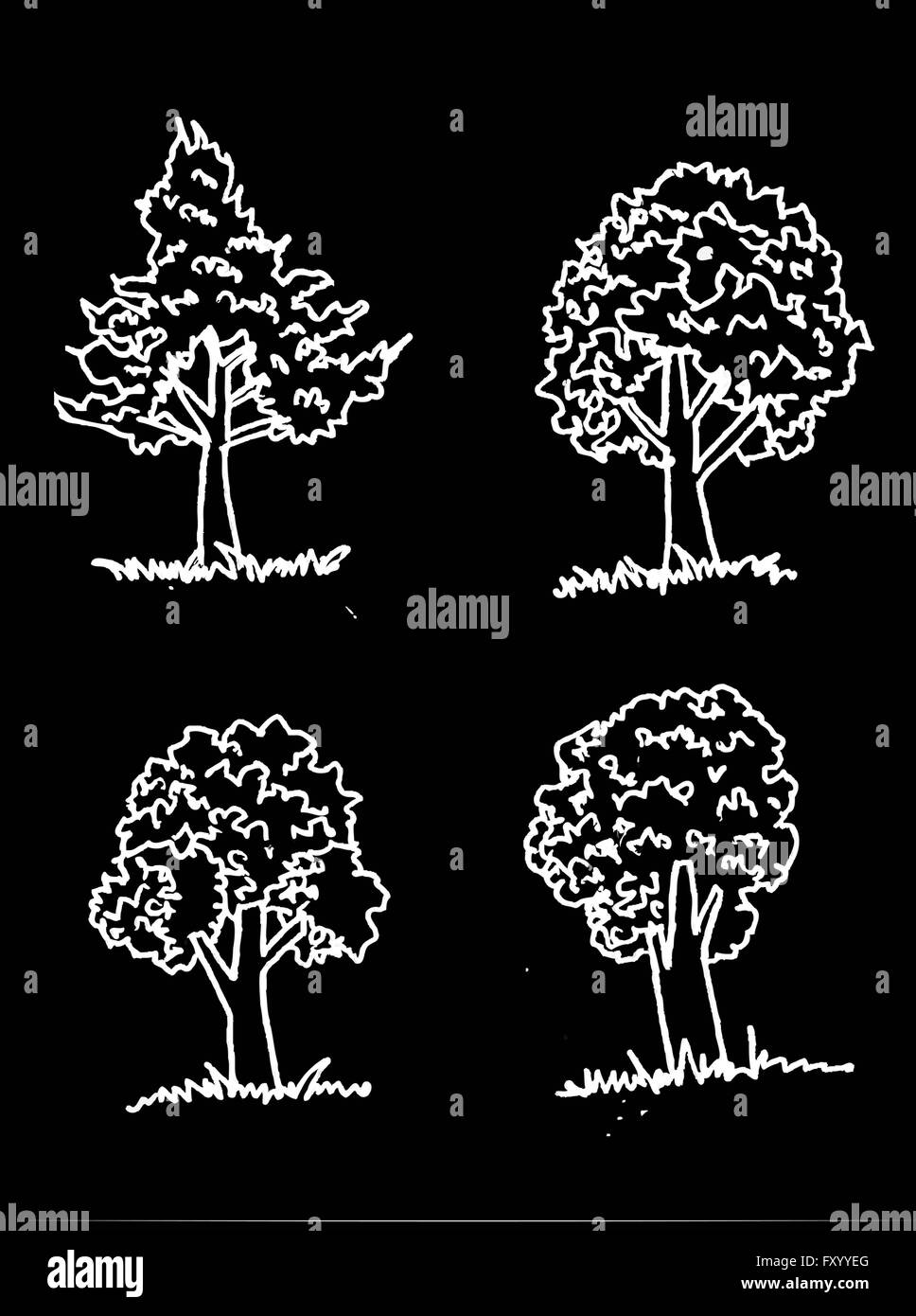 Set di alberi con foglie Illustrazione Vettoriale