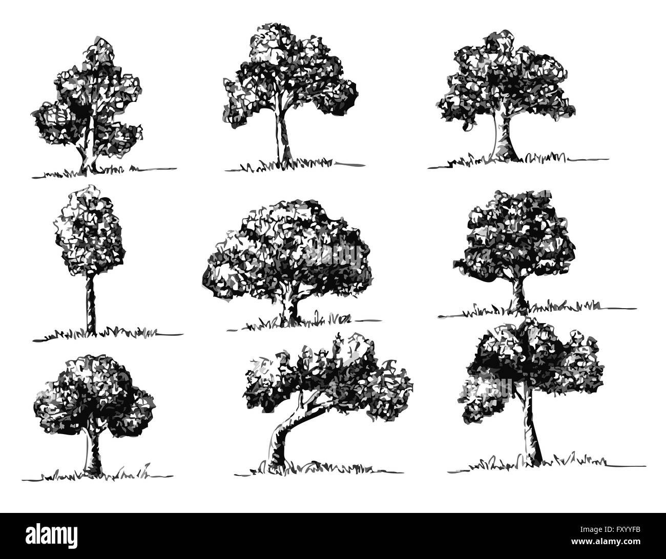Set di alberi con foglie Illustrazione Vettoriale