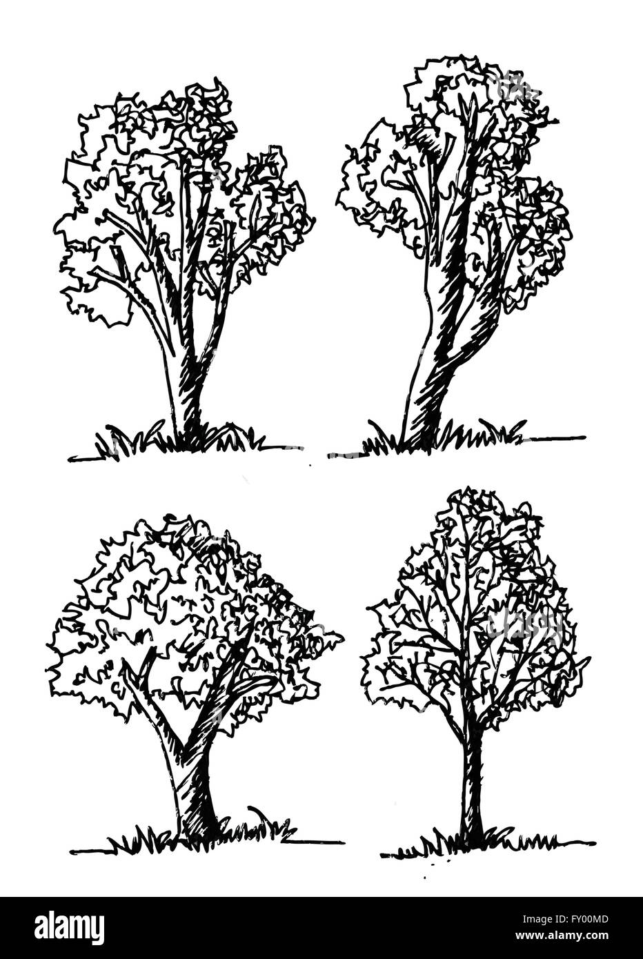 Set di alberi con foglie Illustrazione Vettoriale
