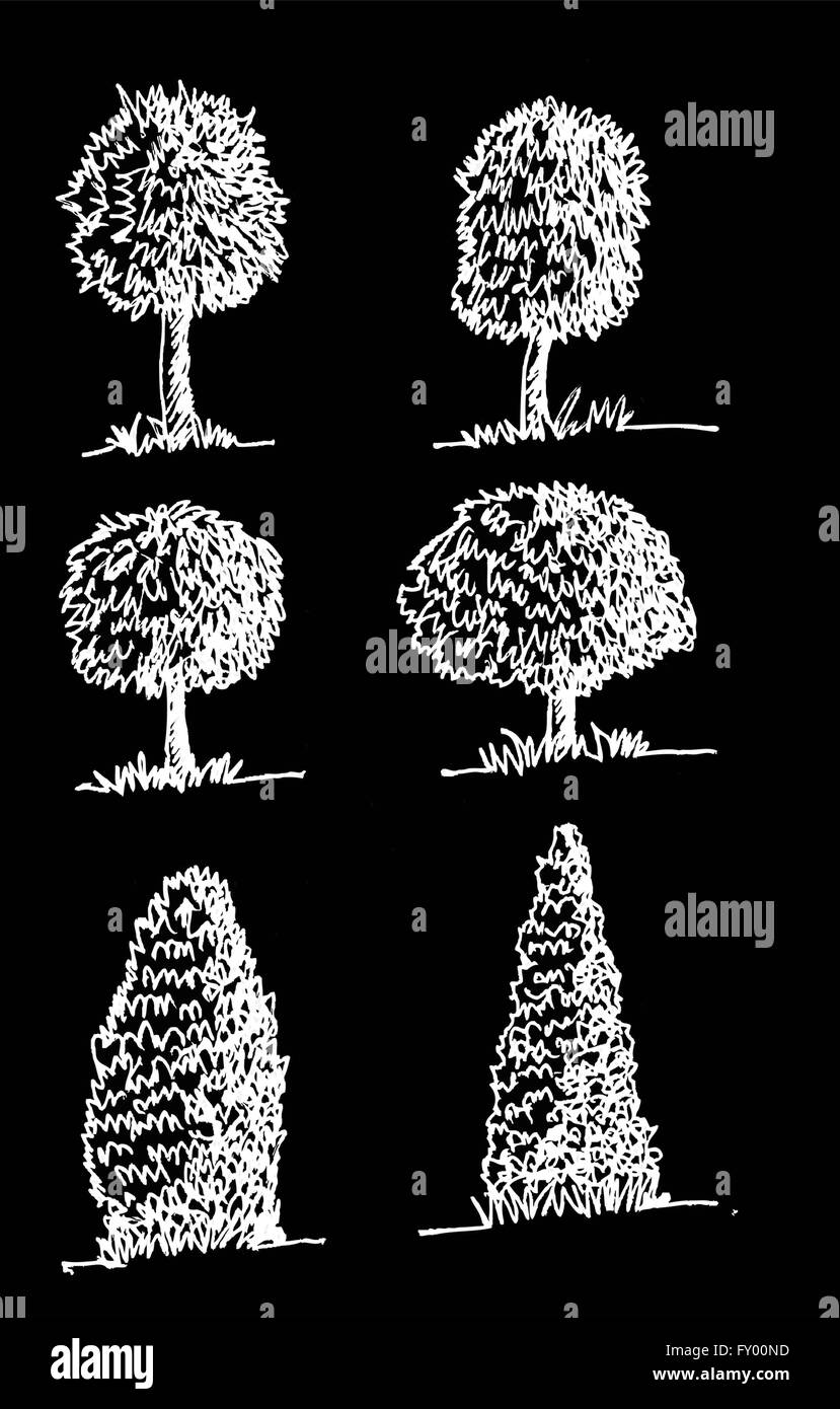 Set di alberi con foglie Illustrazione Vettoriale