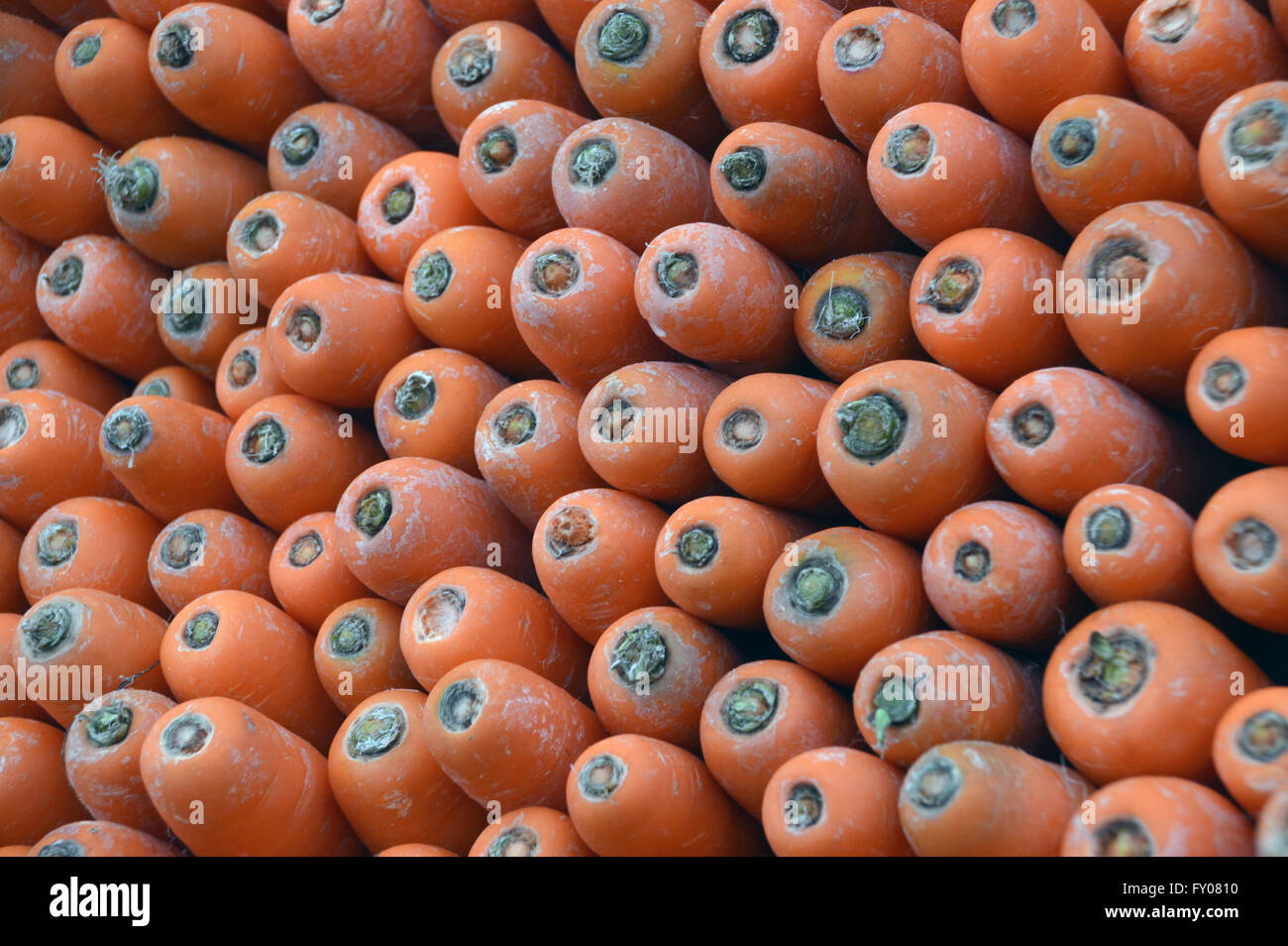 La sommità delle carote arancione visualizzato sul carrello di vegetali all'autunno Southport Flower Show. Lancashire Regno Unito. Foto Stock