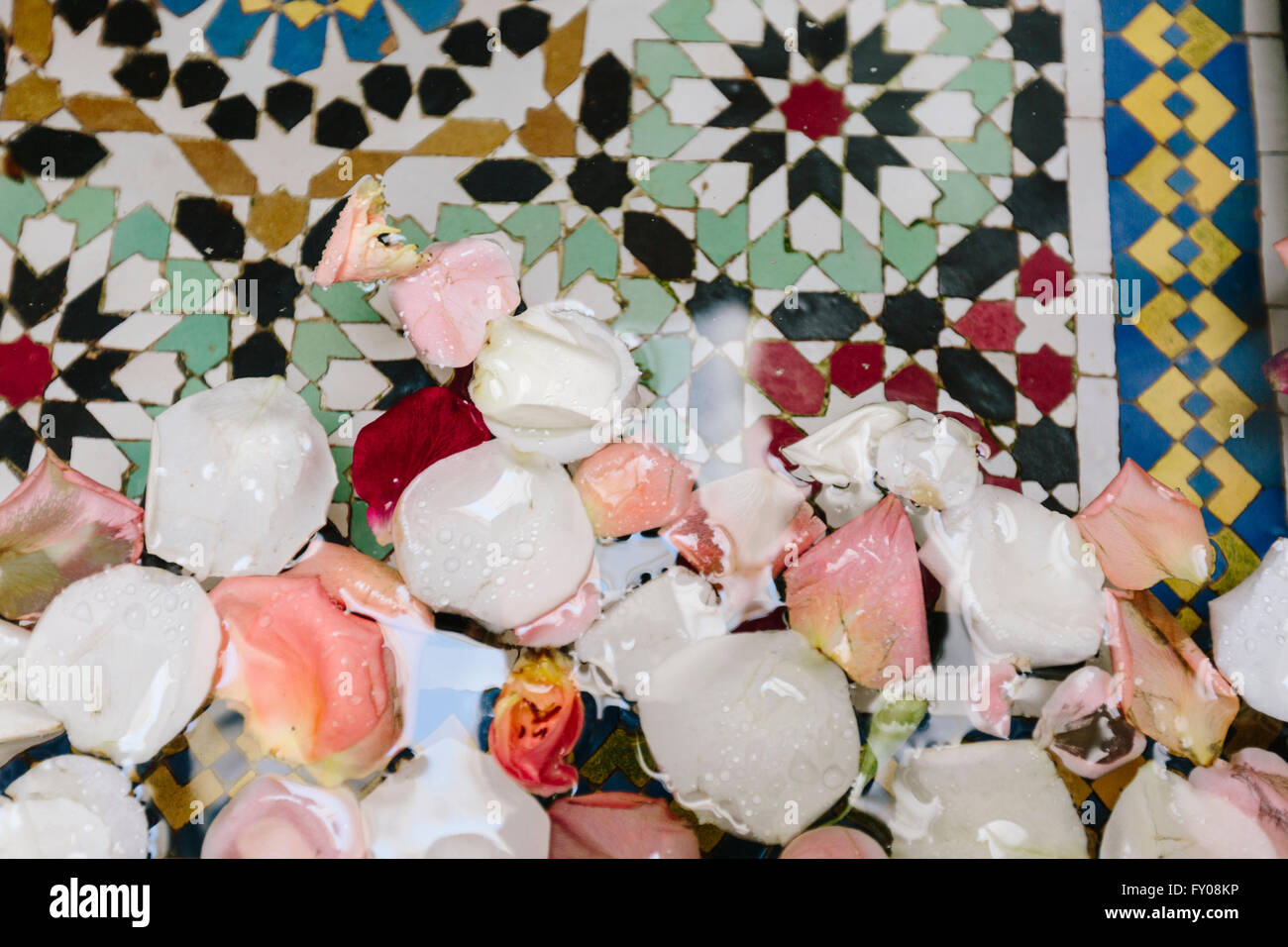 Petali di fiori galleggianti in una funzione di acqua con piastrelle marocchine. Foto Stock