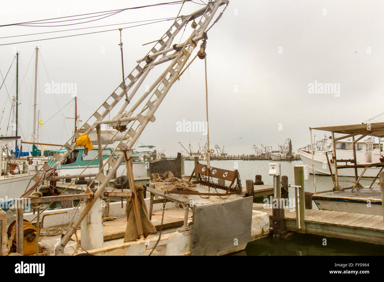 Barche usate in gamberi commerciale e industria della pesca ormeggiata al porto turistico. Foto Stock