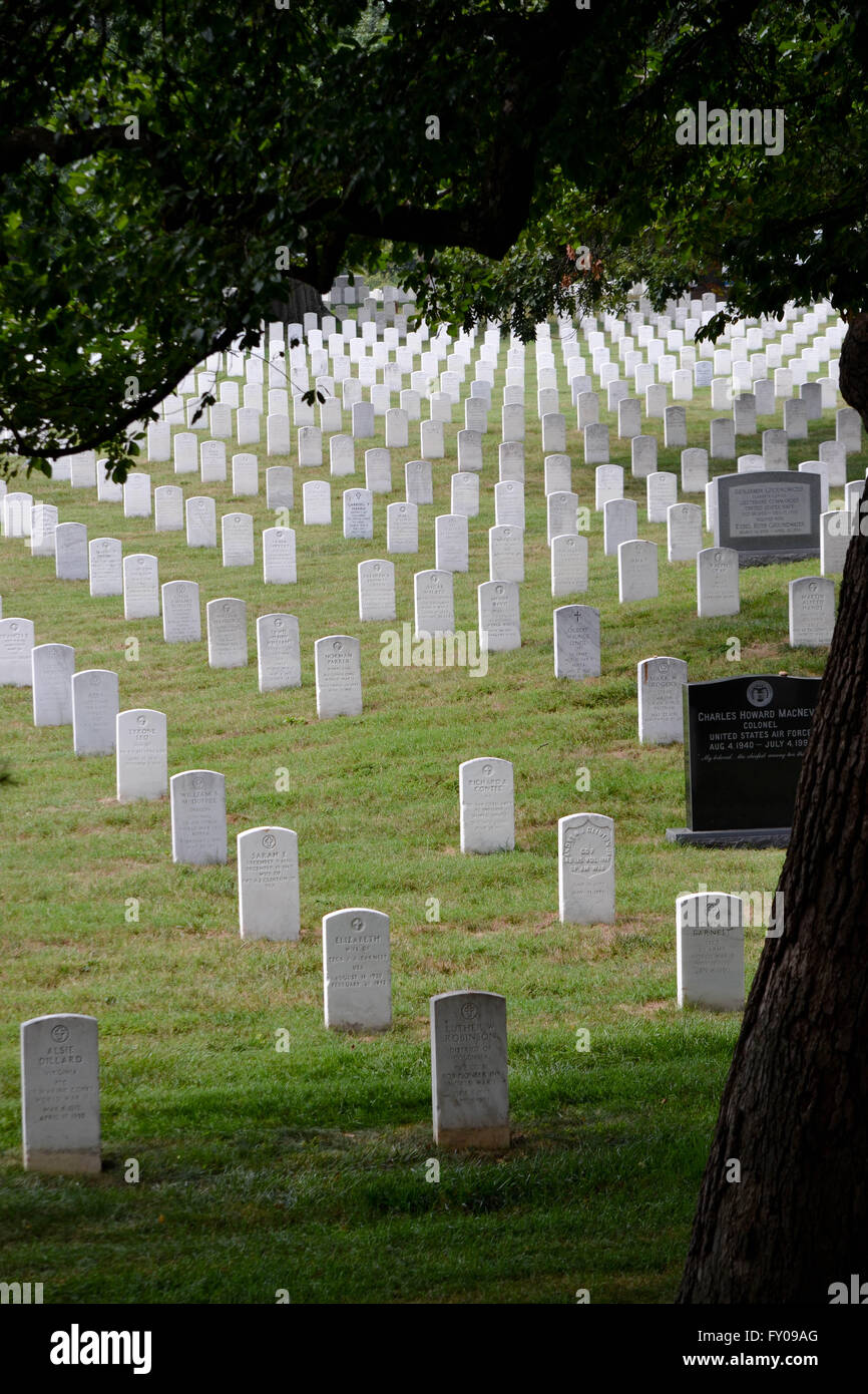 Al Cimitero Nazionale di Arlington, Virginia, Stati Uniti d'America. Vista di lapidi da hill sotto un albero. Foto Stock