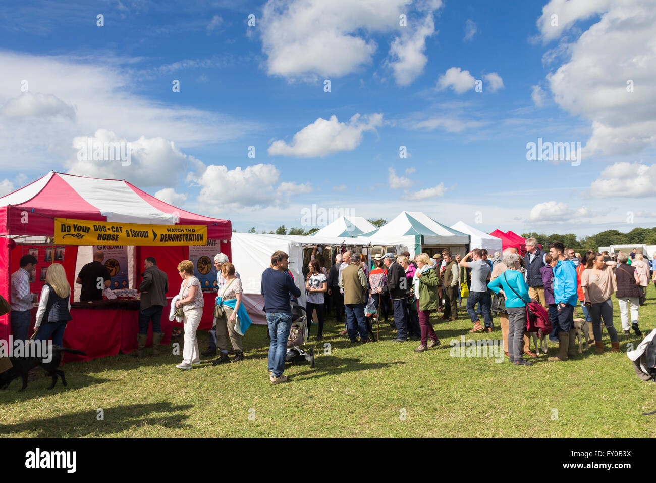 I visitatori circa alcuni dei piccoli stand commerciali presso il Lancashire gioco e Country Festival 2015 in Scorton, Lancashire. Foto Stock