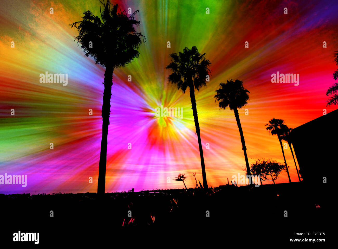 Silhouette di alberi di palma contro una raffica di stelle di colori dell'arcobaleno che emana da un punto centrale. Foto Stock