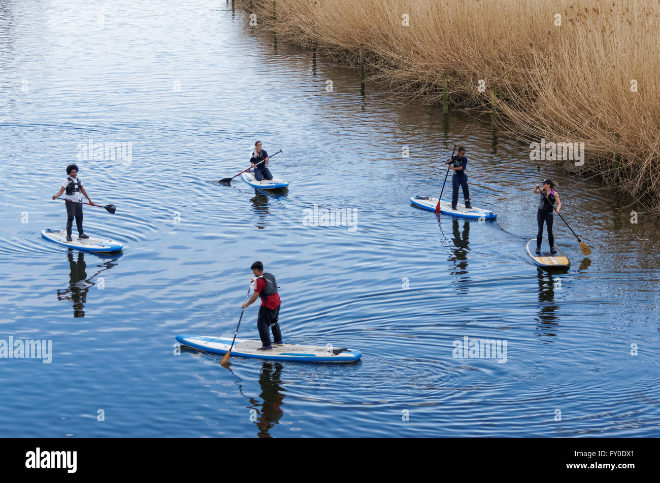 Persone paddleboarding sul fiume Lea al Queen Elizabeth Olympic Park, Londra Inghilterra Regno Unito Foto Stock Persone paddleboarding sul fiume Lea al Queen Elizabeth Olympic Park, Londra Inghilterra Regno Unito Foto Stock