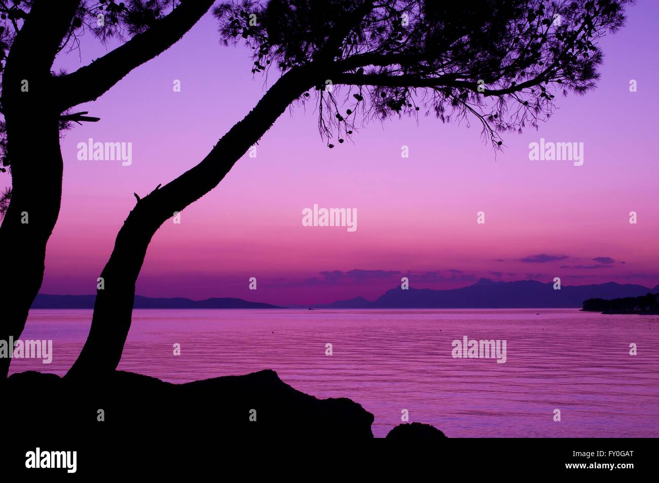 Purpureo tramonto con silhouette di albero in mare. Podgora, Croazia Foto Stock