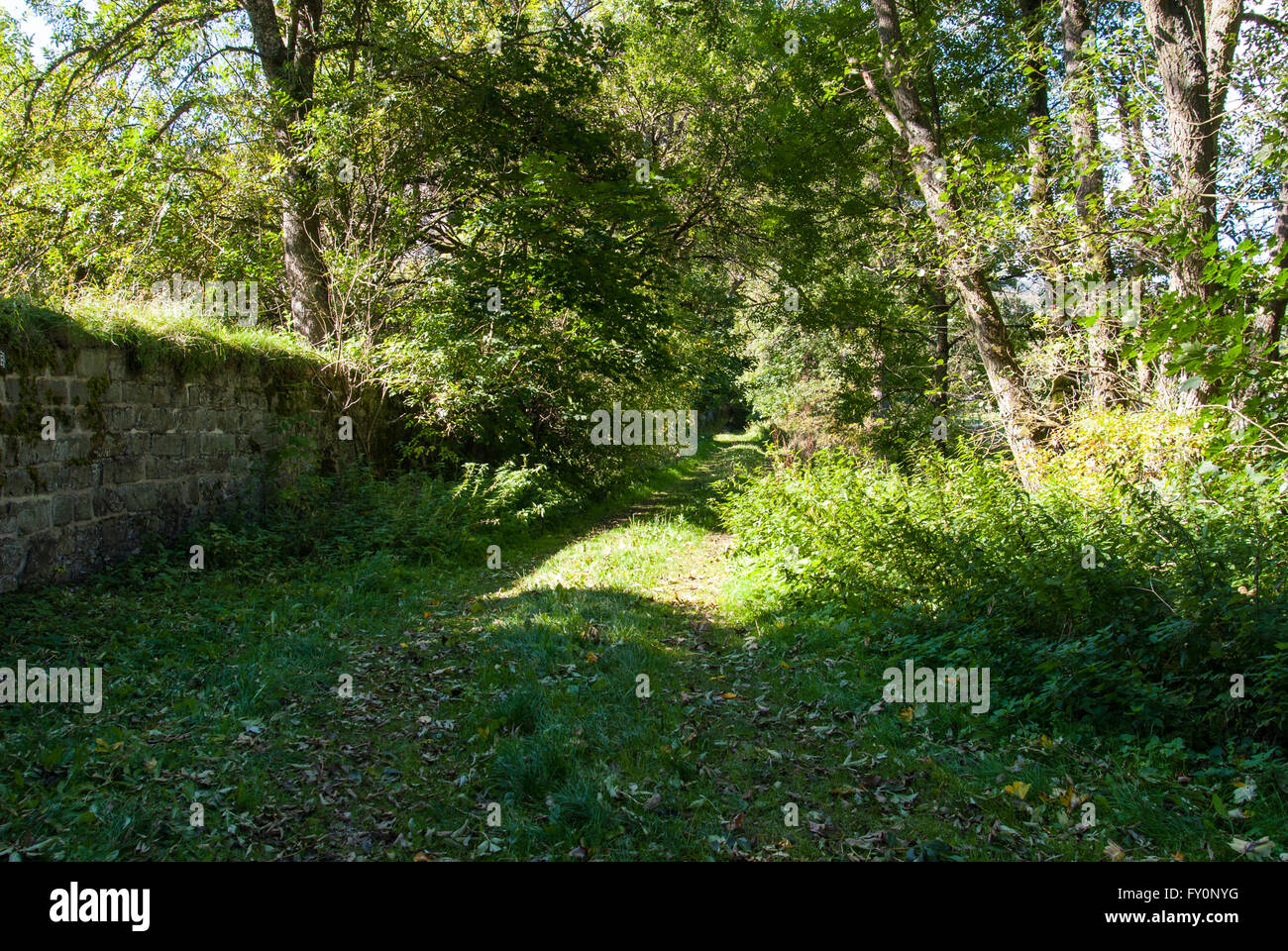 Sentiero lungo la parete della ex monastero in Glindfeld, distretto di Medebach nell'Hochsauerland Foto Stock