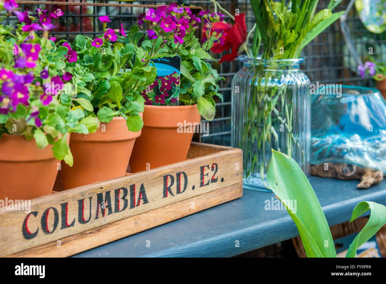 London, Regno Unito - 17 Aprile 2016: Columbia Road Flower mercato domenicale. Acquista Windows display Foto Stock