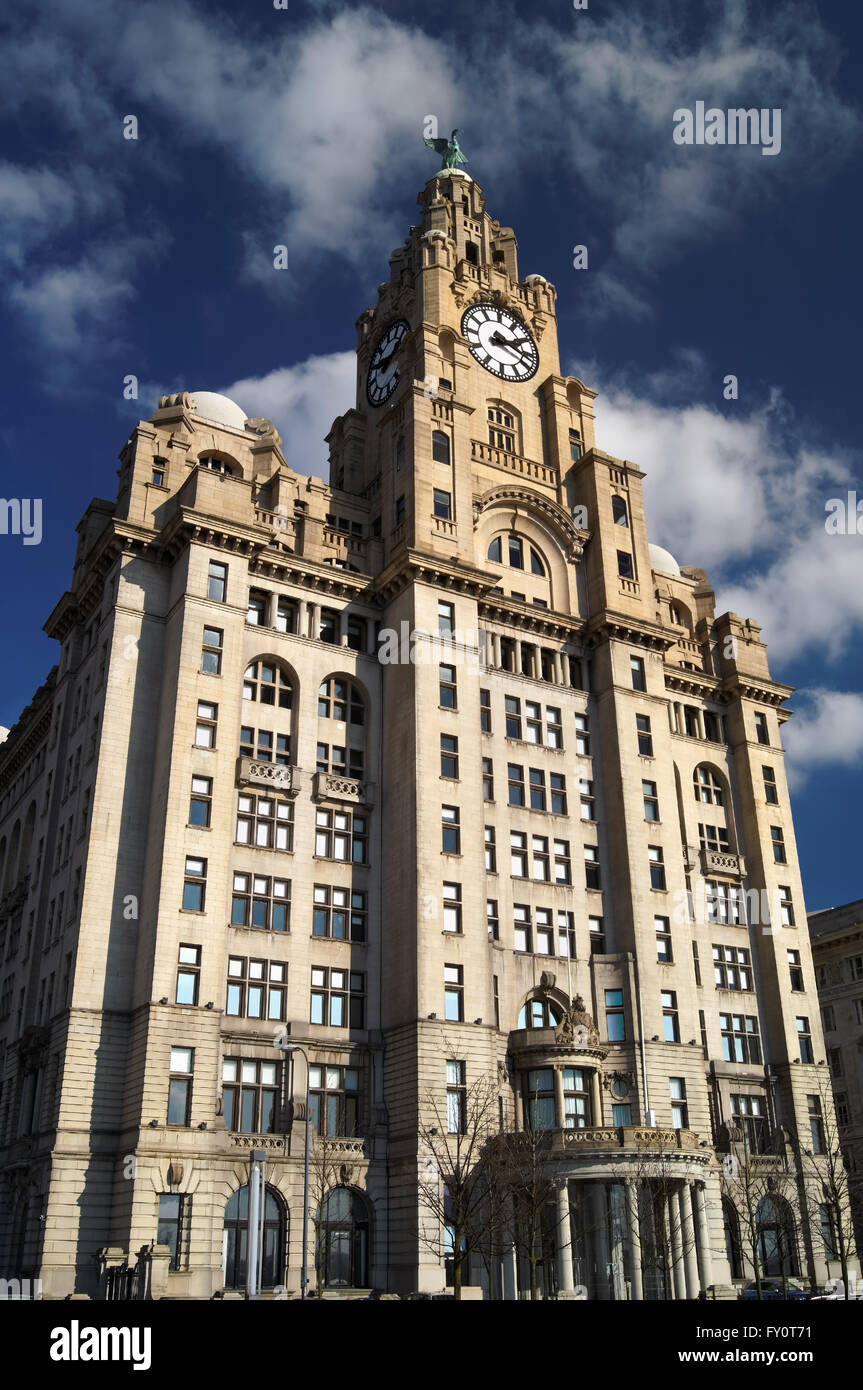 UK,Liverpool,Pier Head,Royal Liver Building Foto Stock