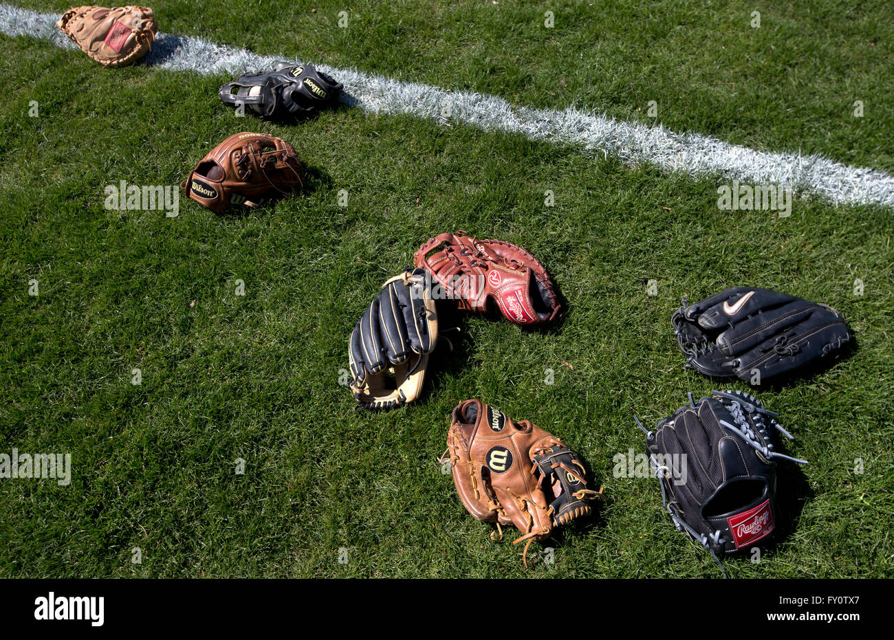 Guanti da baseball su un campo Foto Stock