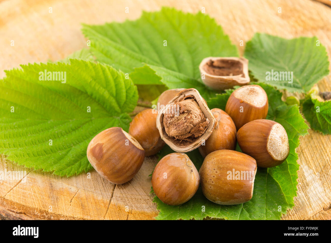 Materie le nocciole su una foglia verde posto su una tavola di legno Foto Stock