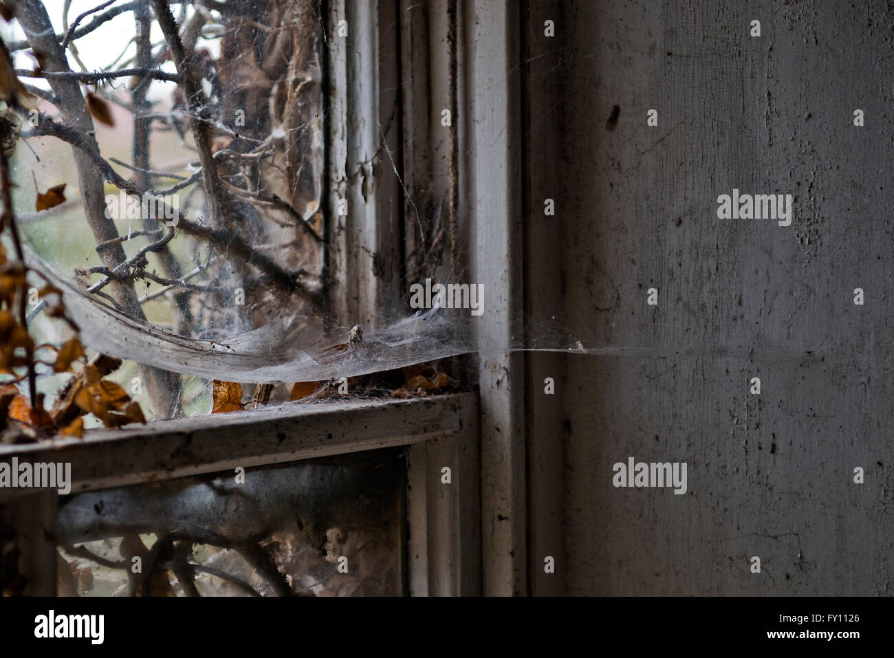 Situato nella piccola città di Breckland di Brandon, Suffolk, si trova una piccola cascina che è stato toccato da oltre trent'anni. Foto Stock