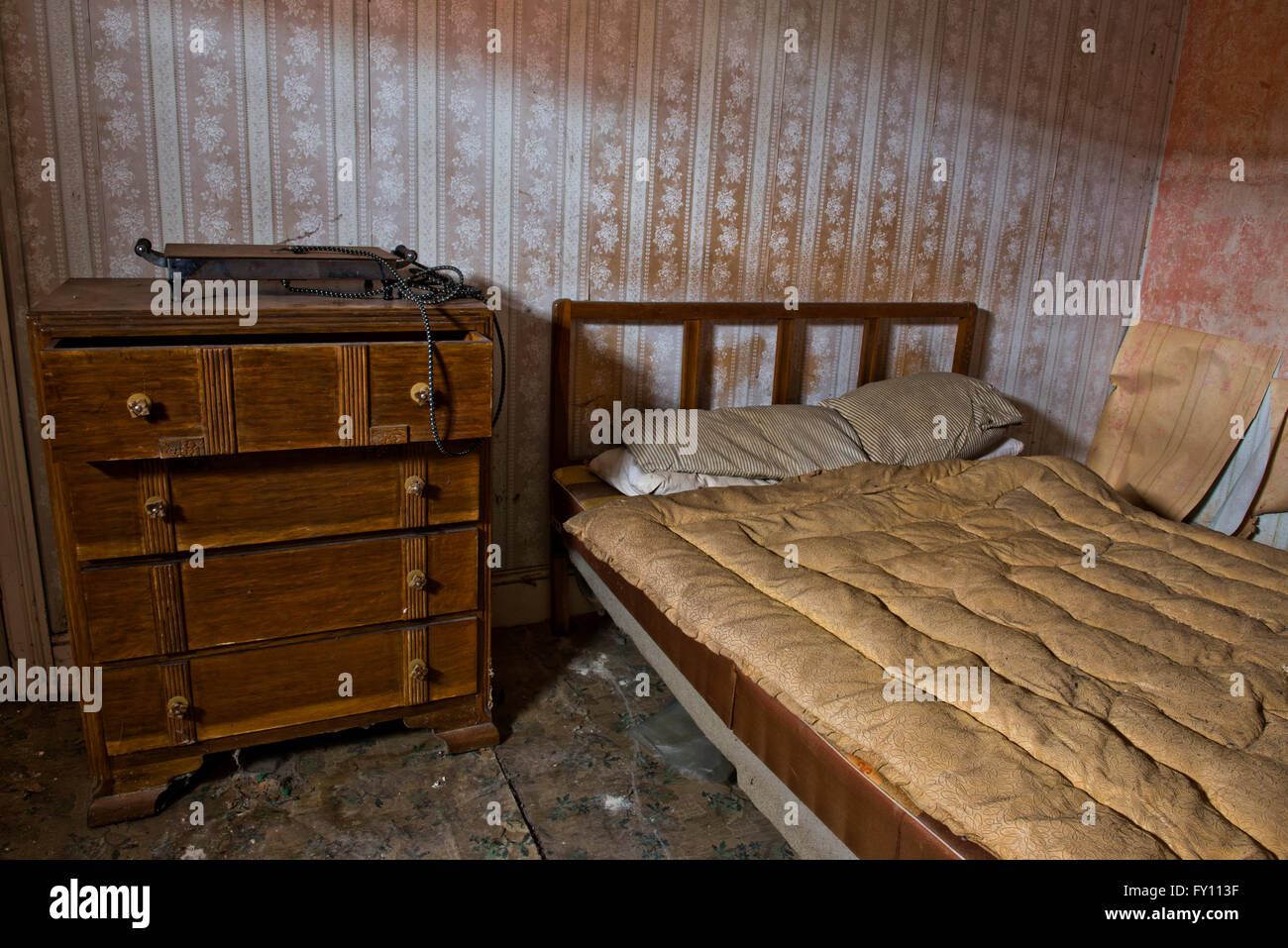 Situato nella piccola città di Breckland di Brandon, Suffolk, si trova una piccola cascina che è stato toccato da oltre trent'anni. Foto Stock