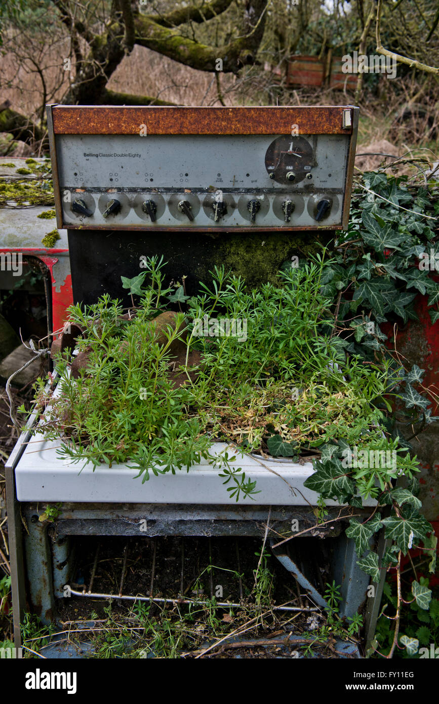 Situato nella piccola città di Breckland di Brandon, Suffolk, si trova una piccola cascina che è stato toccato da oltre trent'anni. Foto Stock