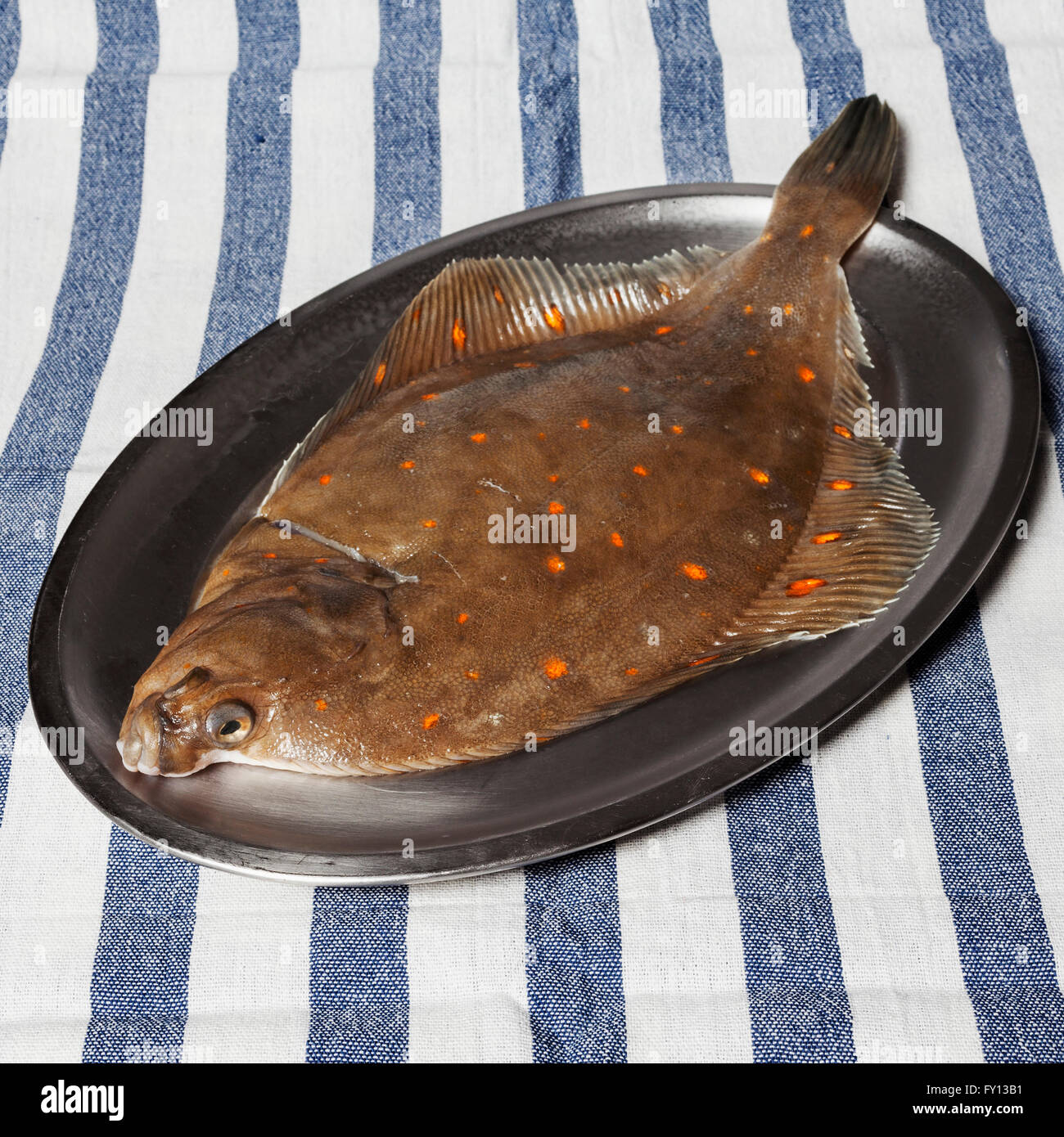 Angolo di alta vista di passera di mare Pesce nella piastra Foto Stock