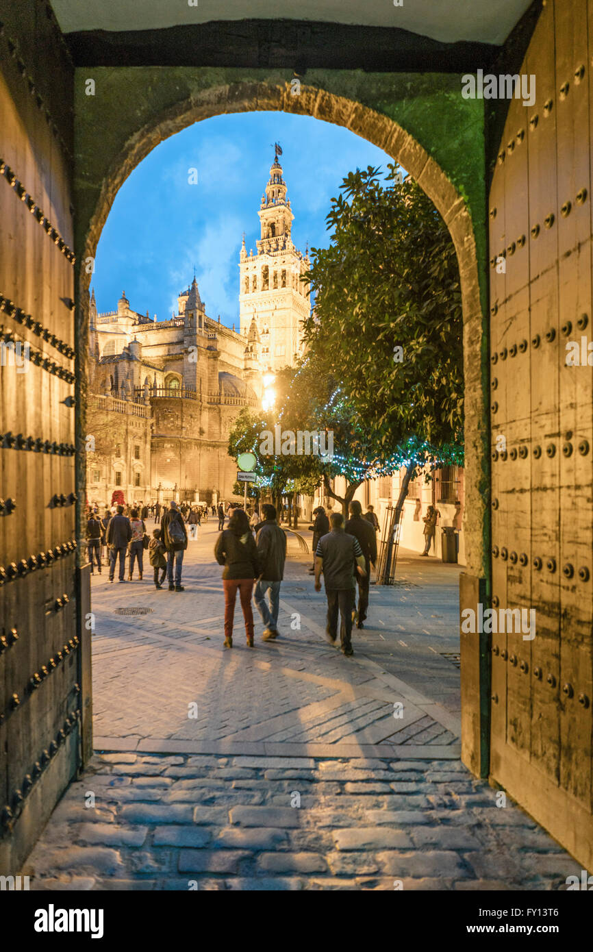 La Giralda torre campanaria , cattedrale, vista da Los Reales Alcazares, Sevilla, Andalusia, Foto Stock